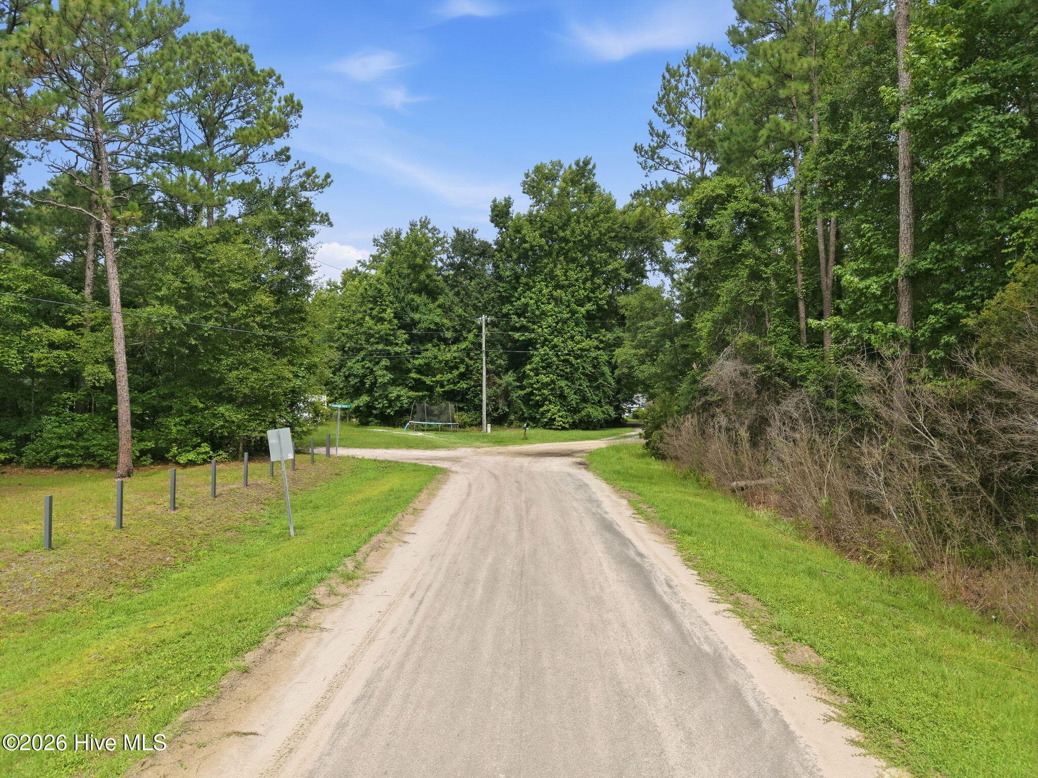 Undeveloped at 0 Copperhead Lane, Burgaw, NC 28425, photo 6 of 24