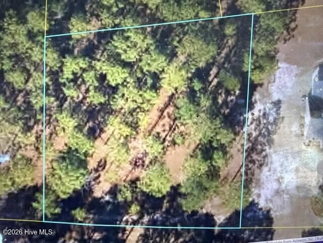 Residential Lot at 125 Bay Ridge Road, Harrells, NC 28444, photo 2 of 2