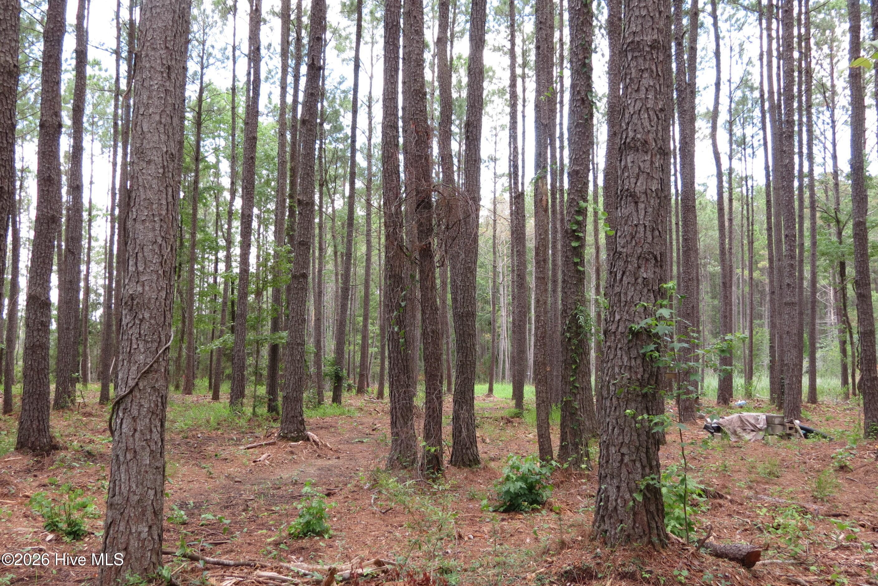 3231 3-A Orchard Creek Road, Oriental, NC 28571