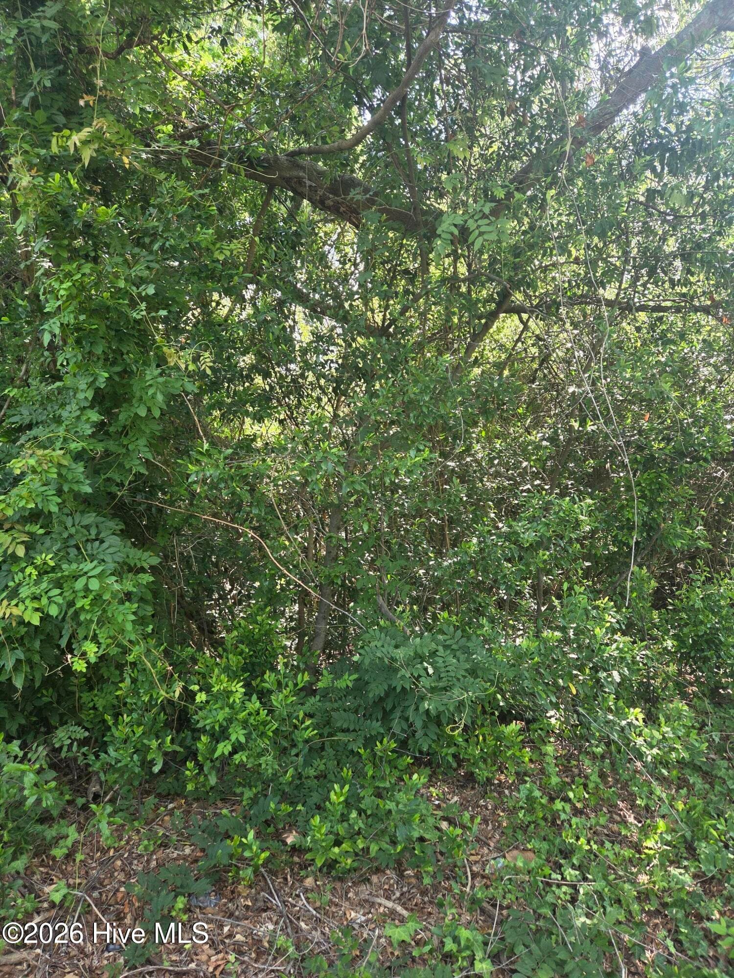 Residential Lot at Tbd N Skipper Street N, Rockingham, NC 28379, photo 4 of 8