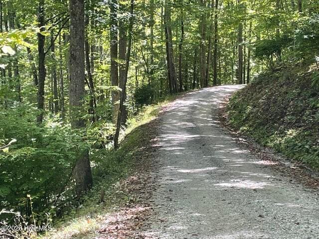 Residential Lot at 00 Rocky Branch Overlook, Topton, NC 28781, photo 6 of 7