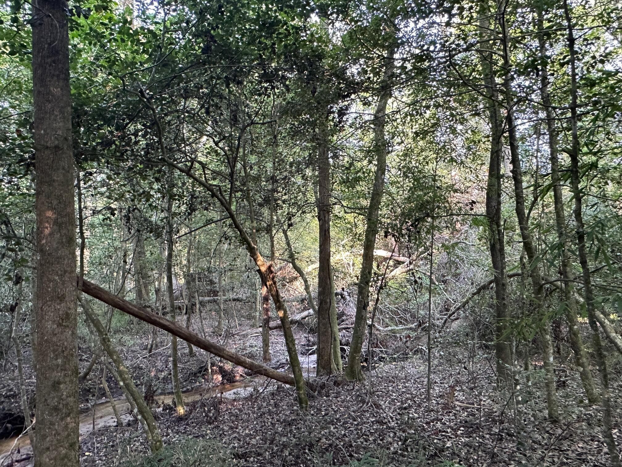 Undeveloped at 2576 Jessie James Pond Road, Wrens, GA 30833, photo 25 of 56