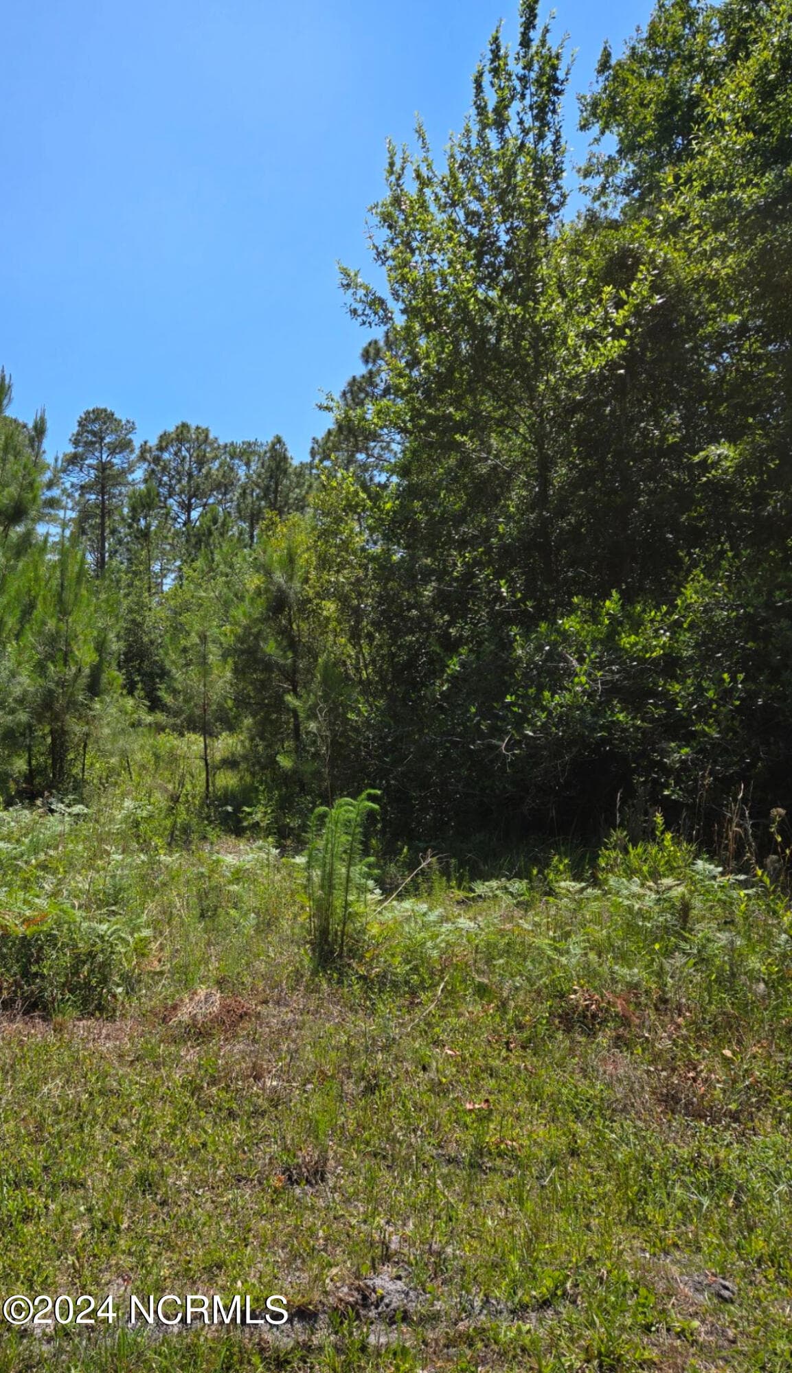 Wooded at Tr16 Wildwood, Boiling Spring Lakes, NC 28461