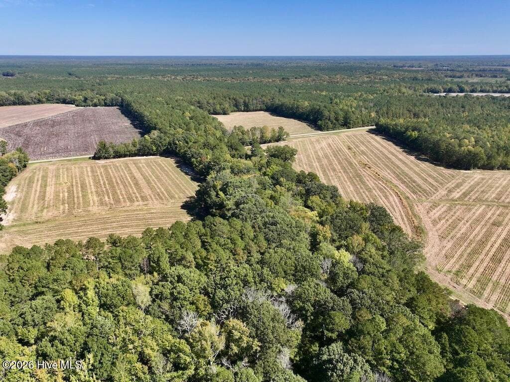 Mixed Use at 0 Spring Hill Road, Scotland Neck, NC 27874, photo 28 of 93