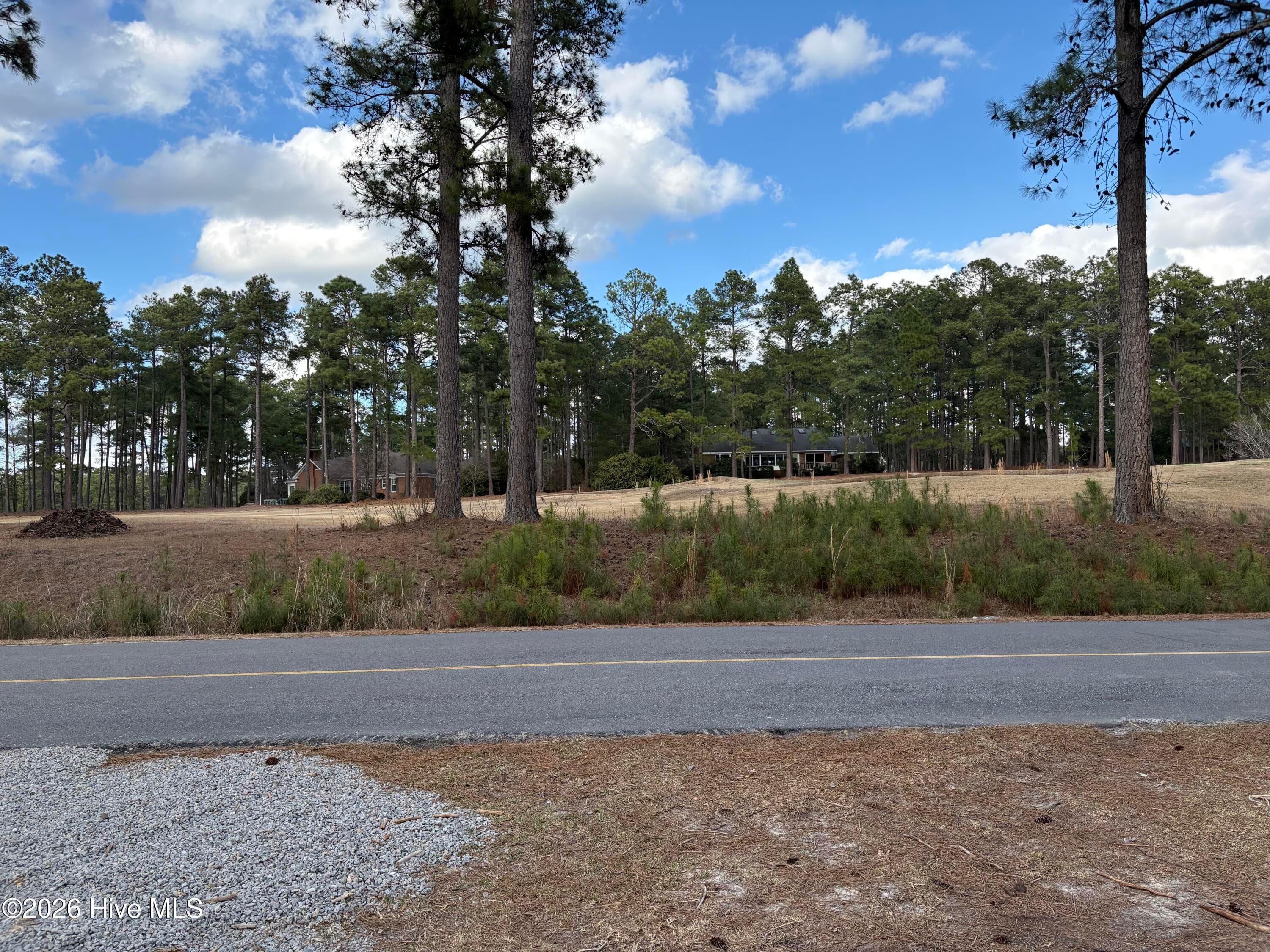 View from front Front Yard - 40 S Shamrock Drive, Jackson Springs, NC 27281