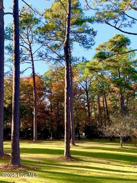 Single Family Residence at 292 Bump A Long Lane, Southern Pines, NC 28387, photo 78 of 82