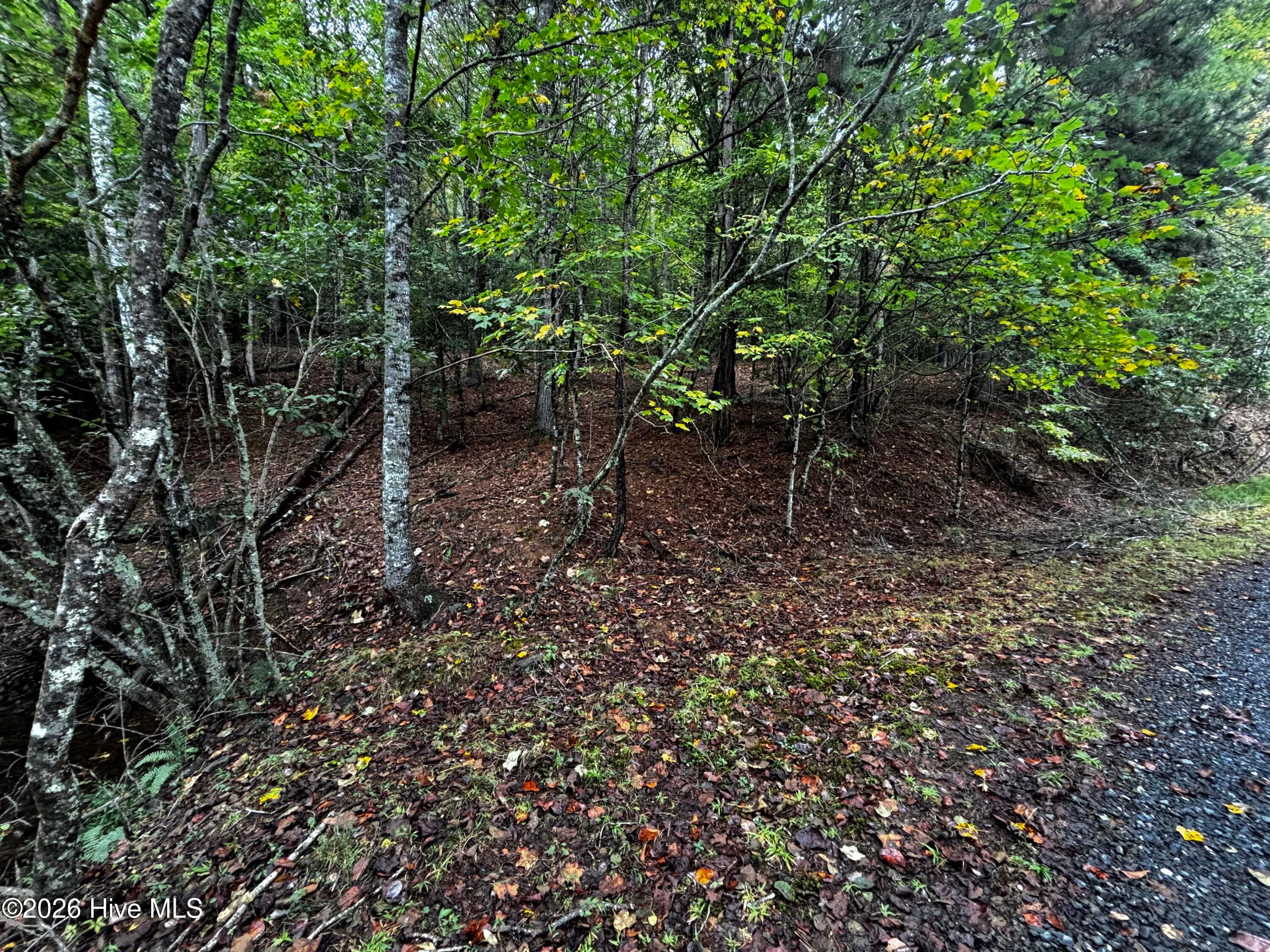 Wooded at Lot 6 6 Joyce Road, Murphy, NC 28906, photo 5 of 5