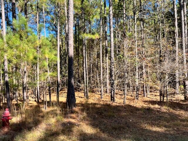 Residential Lot at 0 Mariners Way, Lincolnton, GA 30817, photo 3 of 4