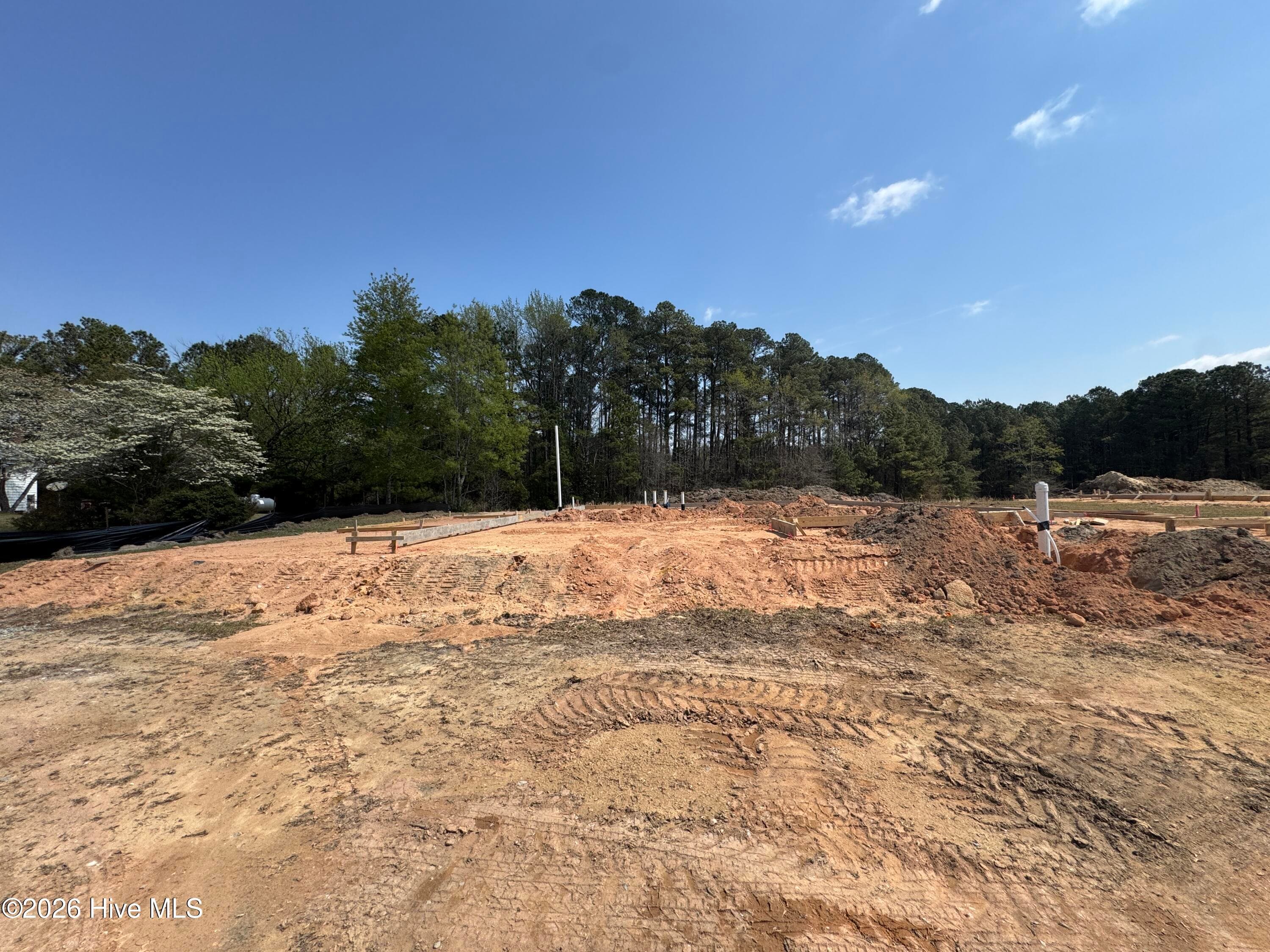 Single Family Residence at 452 James Street, Vass, NC 28394, photo 2 of 98