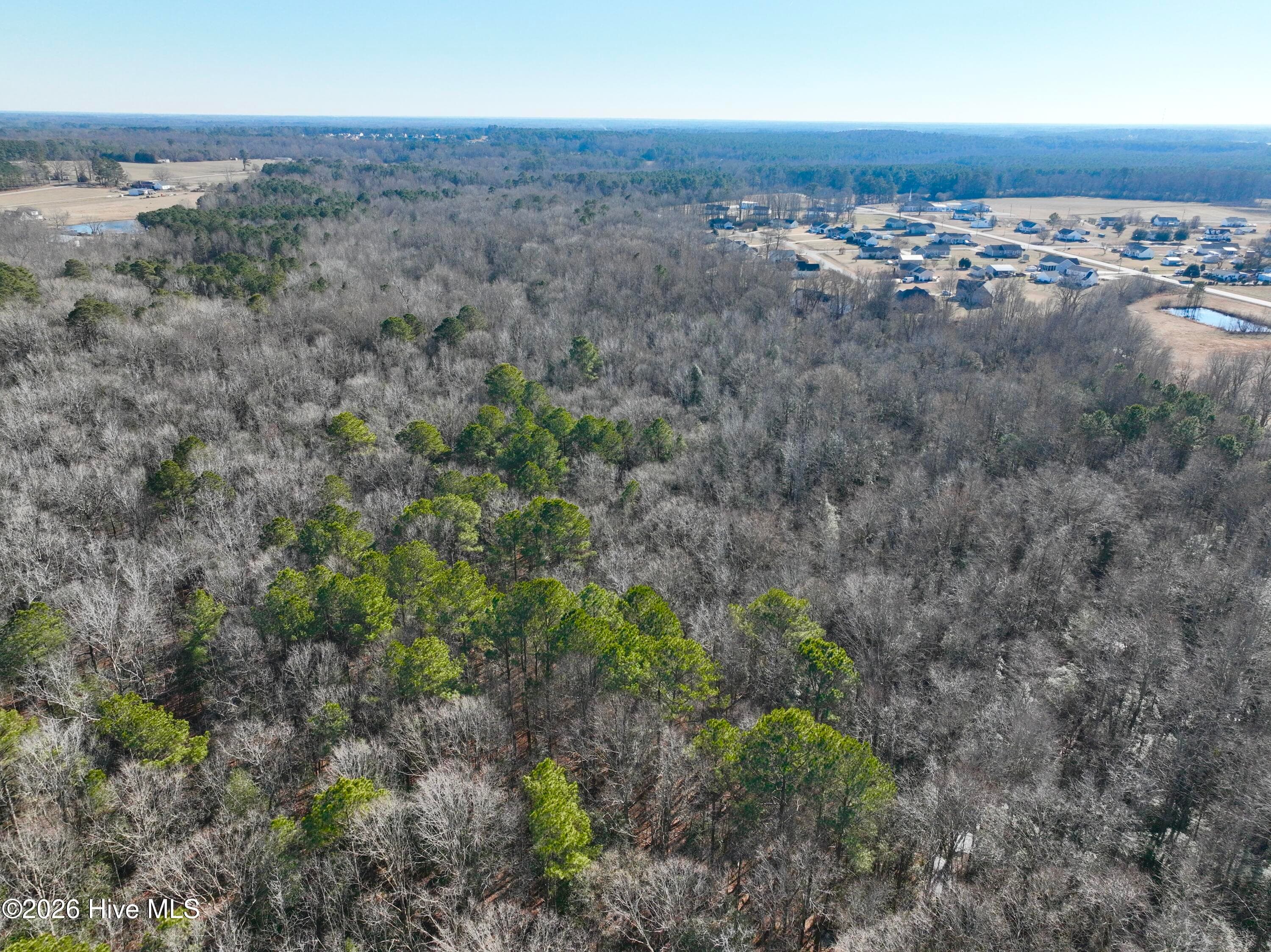 Wooded at 0 Fred Circle S, Kenly, NC 27542, photo 11 of 21