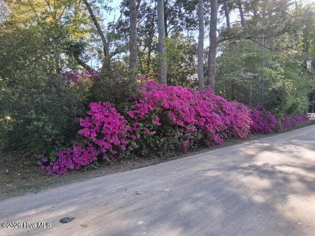 Single Family Residence at 201 E Bell Street, Tabor City, NC 28463, photo 28 of 28