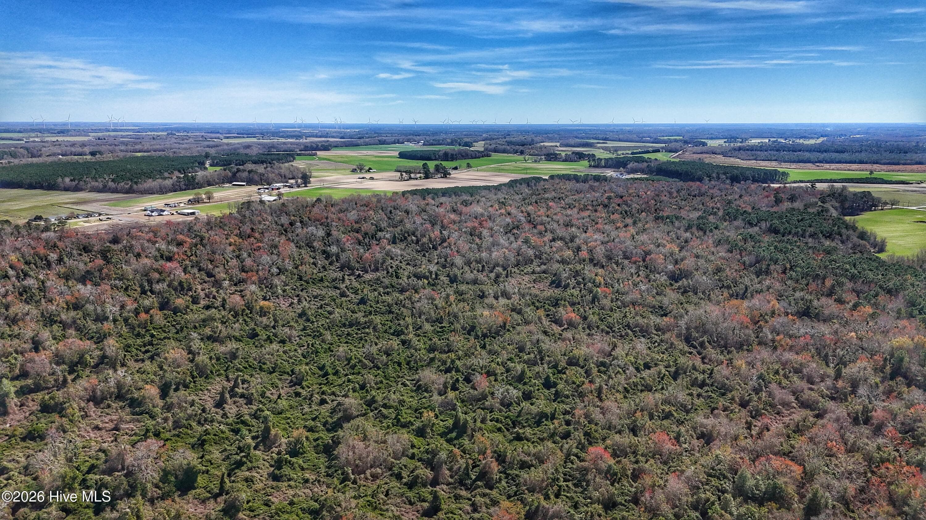Wooded at 1612 Rocky Hock Landing Road, Edenton, NC 27932, photo 20 of 45