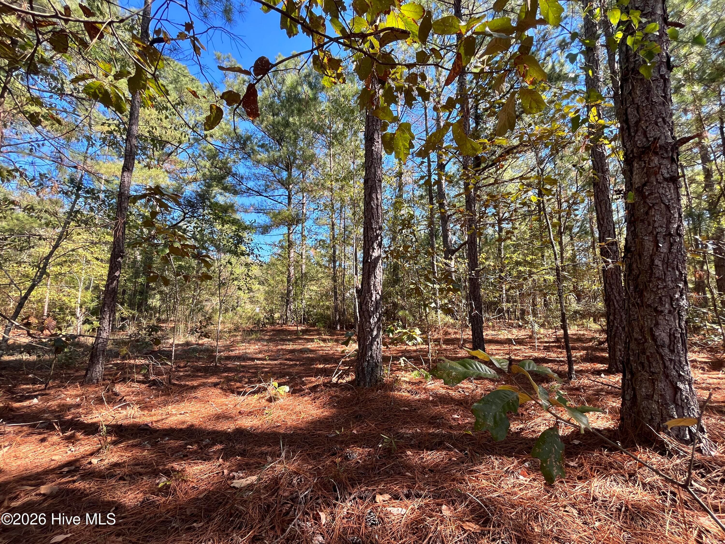 Residential Lot at Lot 9 Jasper Davis Road, Avera, GA 30803, photo 19 of 21