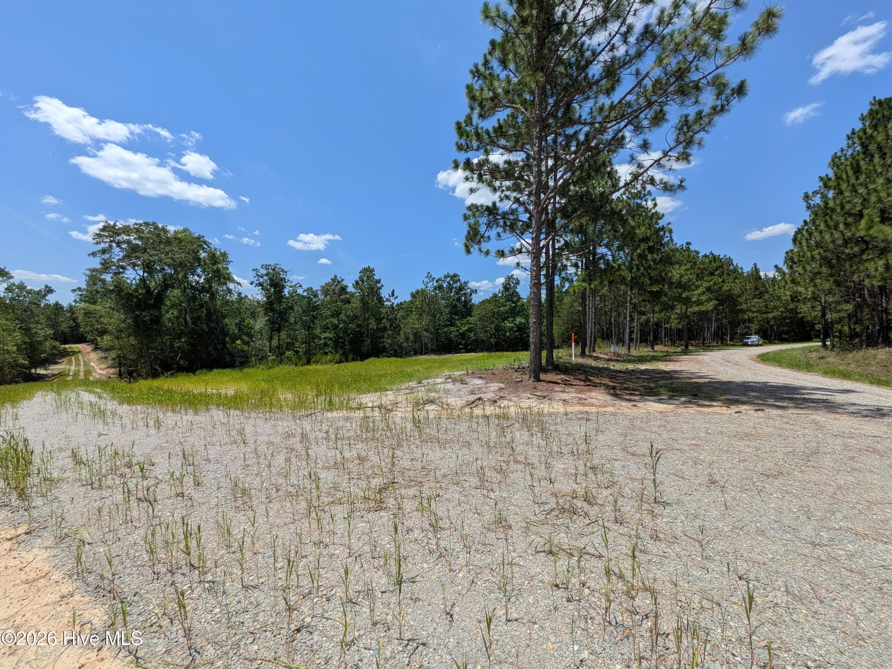 Residential Lot at 270 1-R Charles Road, Eagle Springs, NC 27242, photo 9 of 13