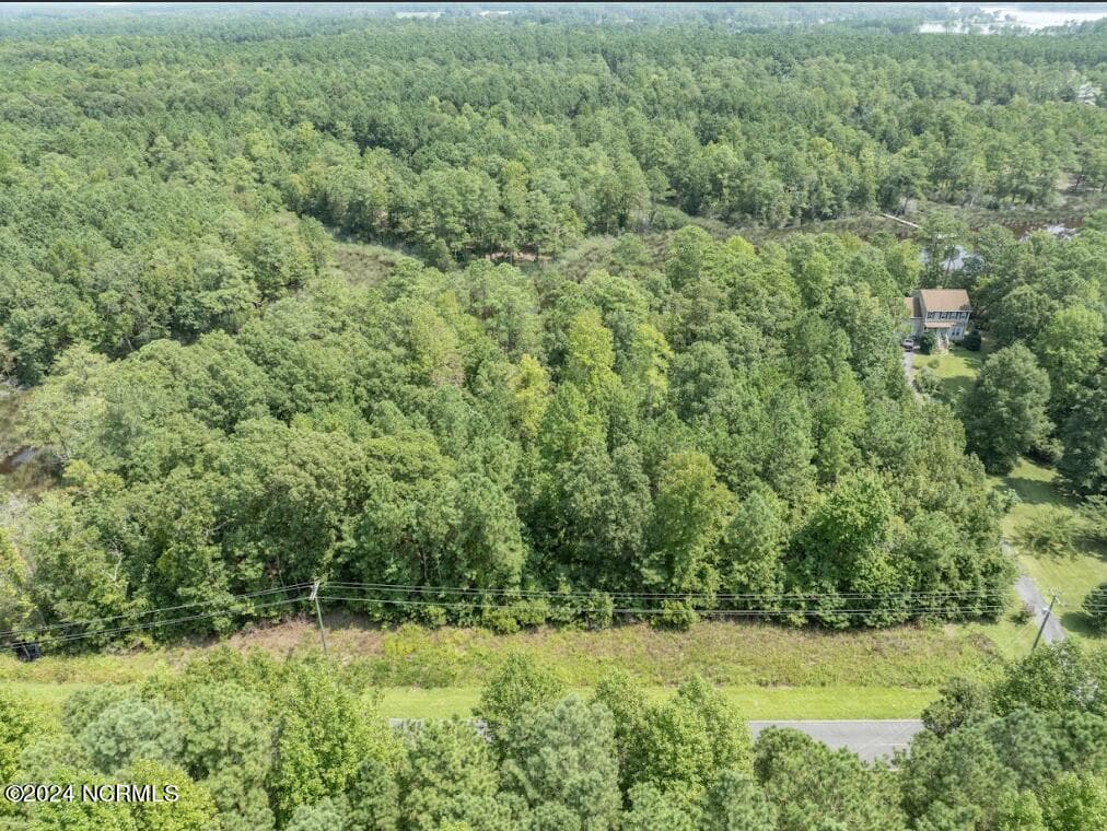 Residential Lot at 0 27 & 28 Pinecrest Road, Bath, NC 27808, photo 6 of 16