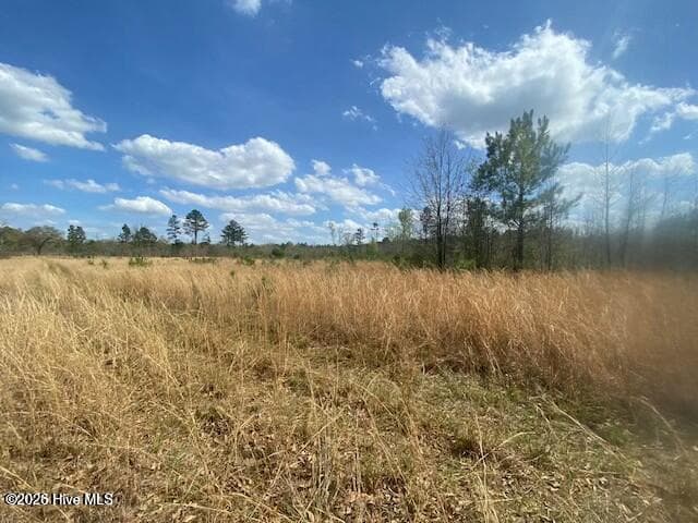 Residential Lot at 28385 Aberdeen Road, Wagram, NC 28396, photo 2 of 4