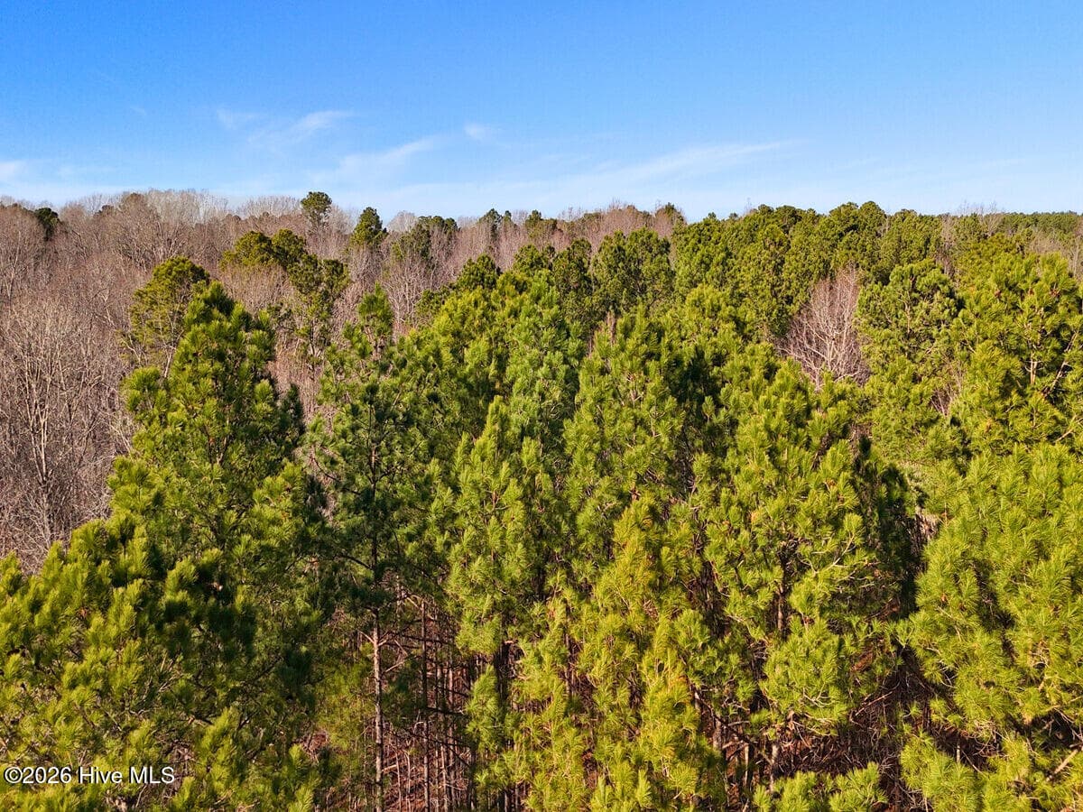 Residential Land at 0 Nc 98 Highway, Spring Hope, NC 27882, photo 12 of 39