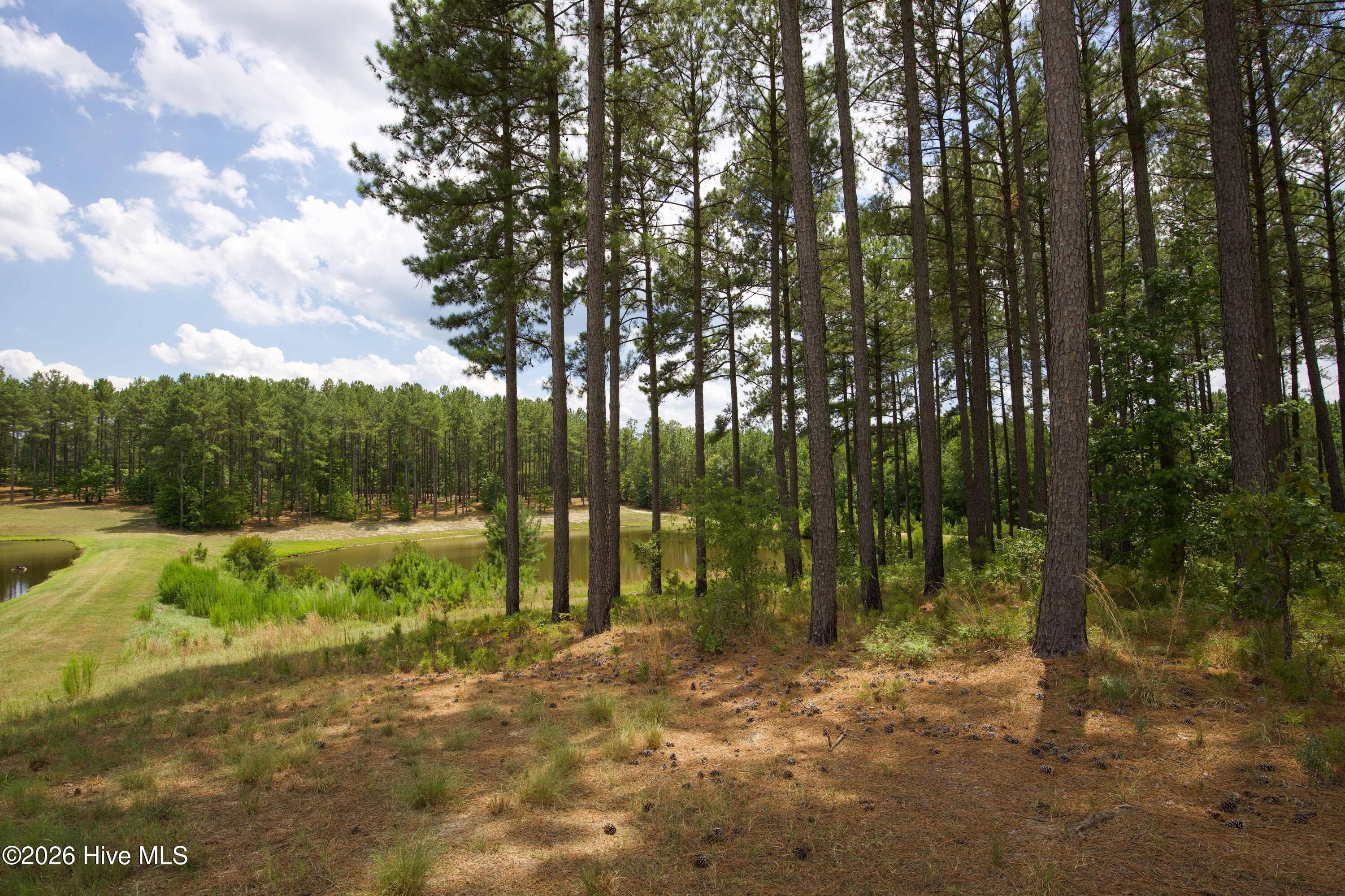 Horse Farm at 220 44B Justin Way, Foxfire Village, NC 27281, photo 37 of 69