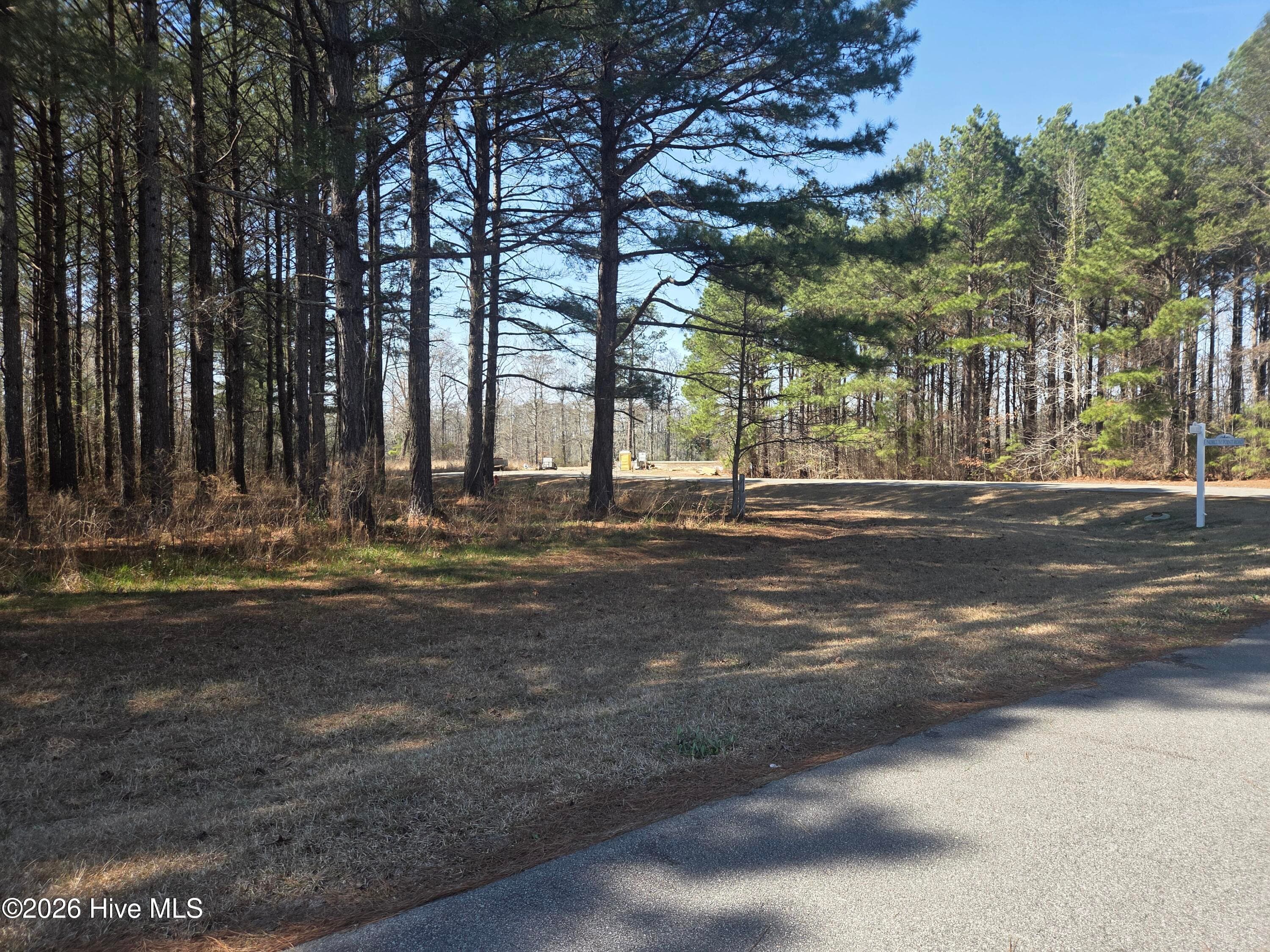 View from front of lot - 232 121 Winfall Circle, Edenton, NC 27932