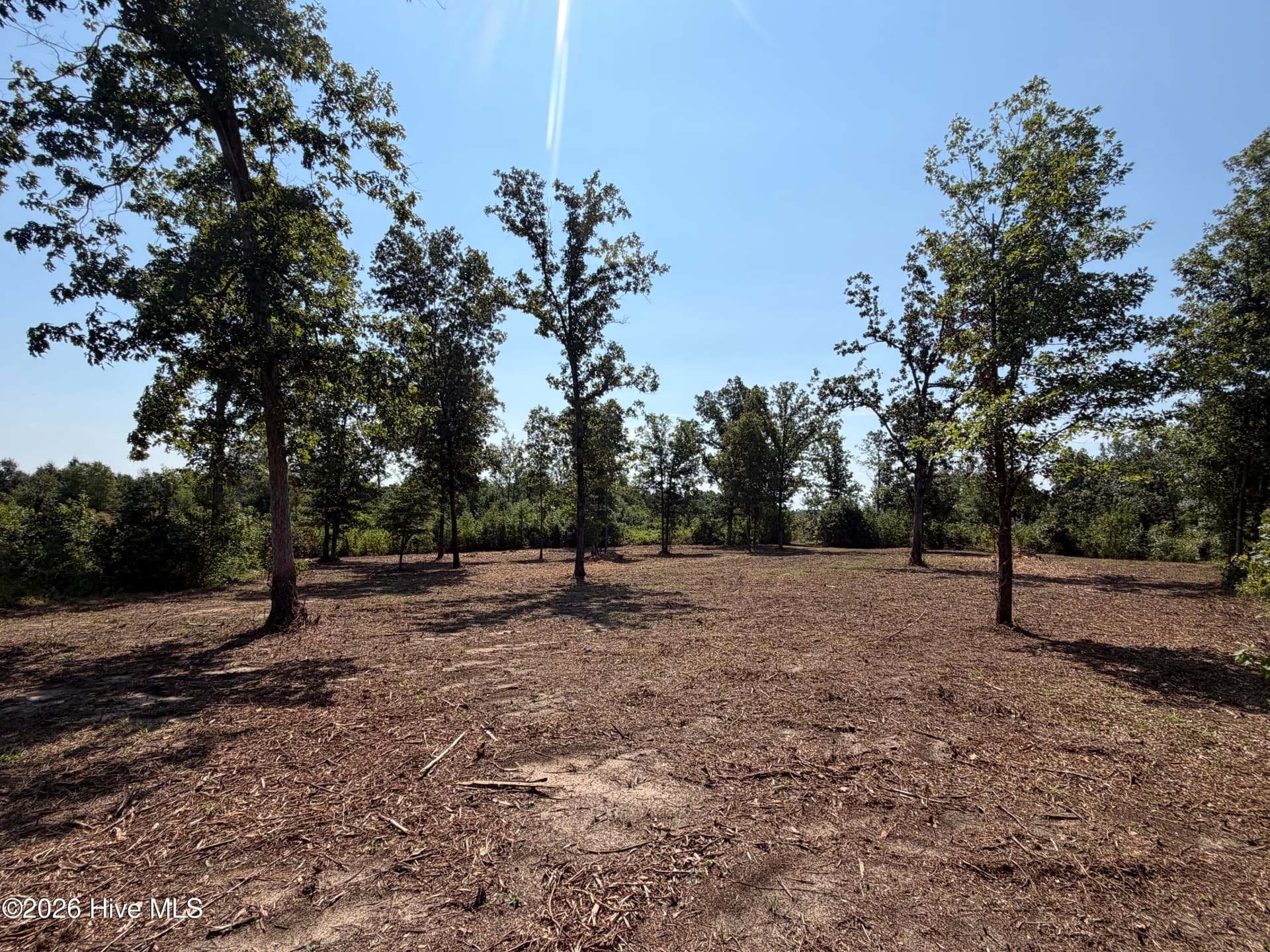 Residential Lot at 0 0 Poole Melton Road, Blythe, GA 30805, photo 6 of 15