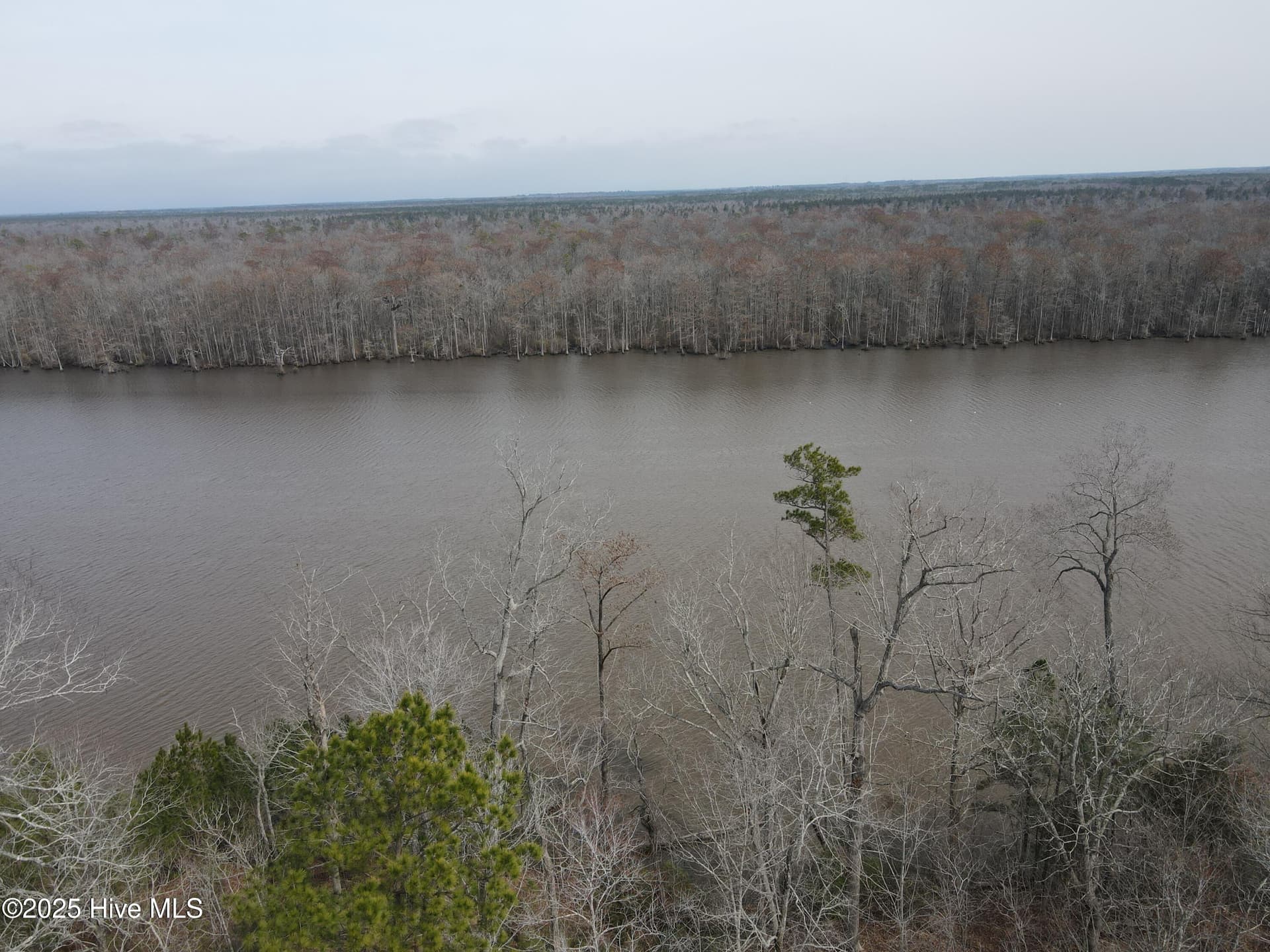 Wooded at Lot 12 River Bluff Drive, Winton, NC 27986, photo 3 of 10