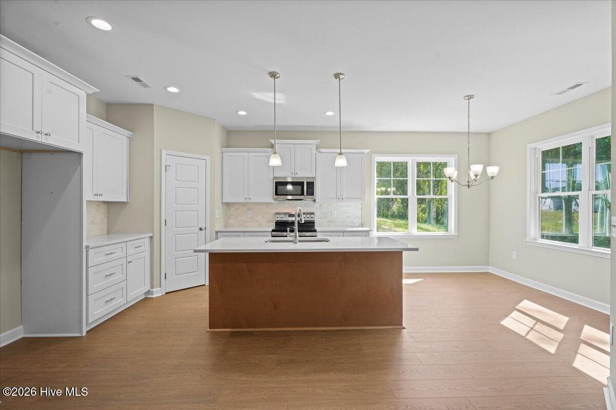 Single Family Residence at 306 Creeks Edge Drive, Pikeville, NC 27863, photo 77 of 134