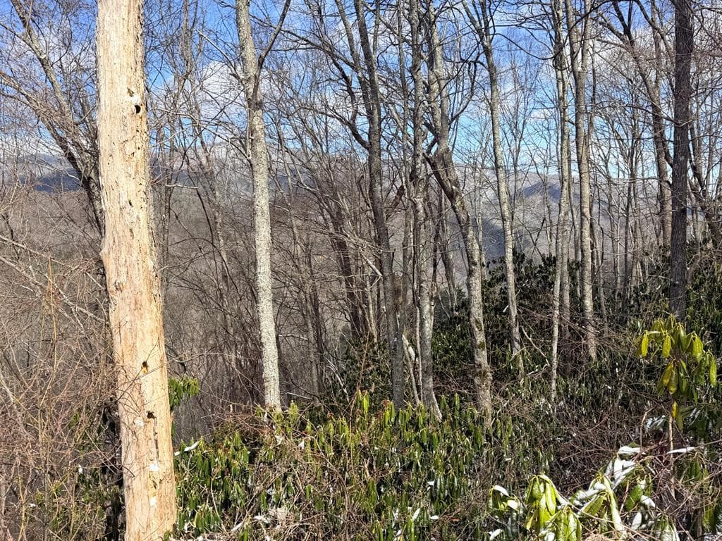 Lot# 13 13 Noon Day Sun Road, Topton, NC 28781