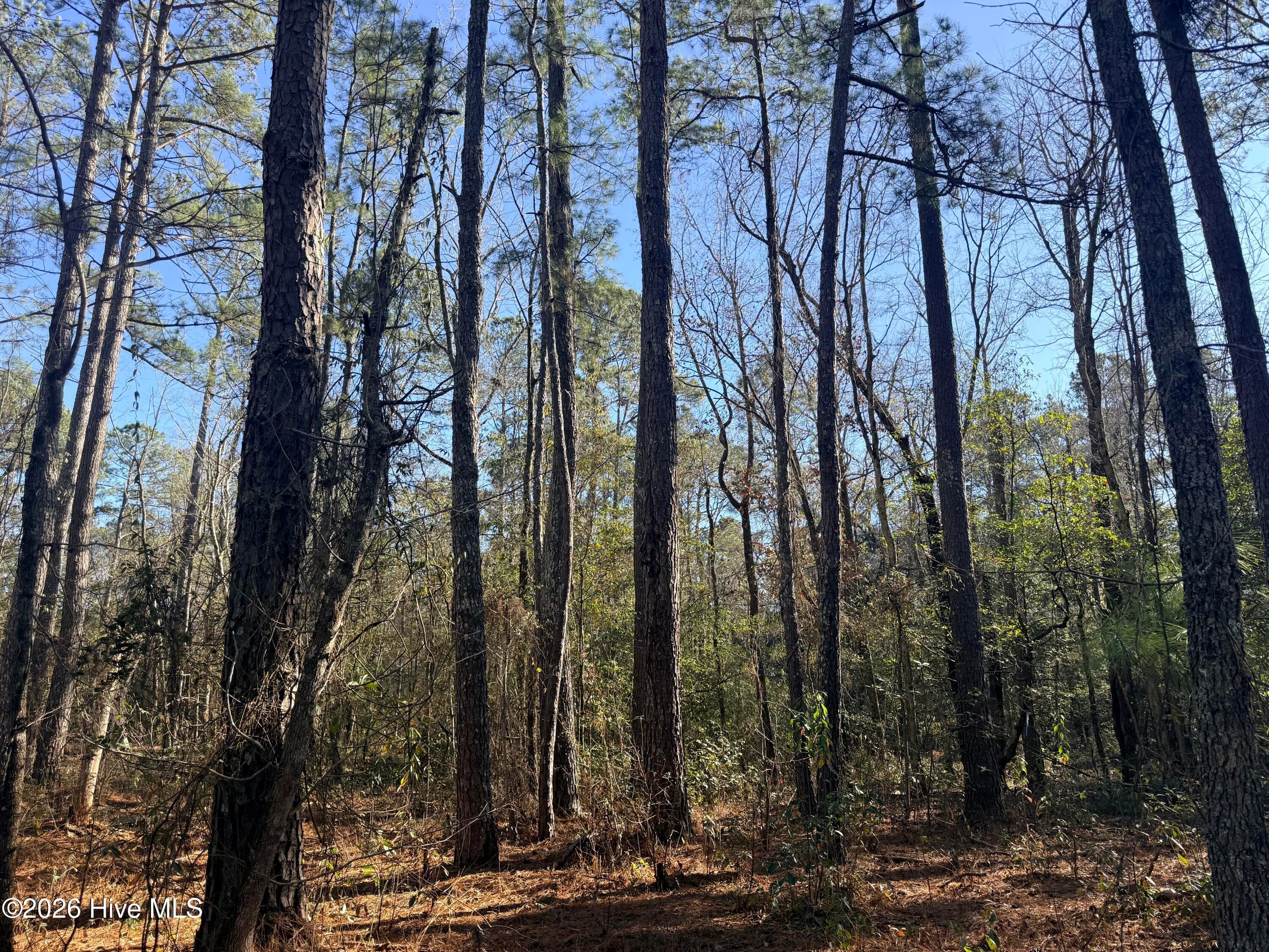 Single Family Residence at Lot 3 Peach Court, Burgaw, NC 28425, photo 50 of 50