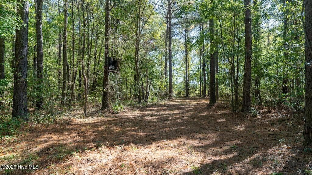 Mixed Use at 0 Spring Hill Road, Scotland Neck, NC 27874, photo 60 of 93