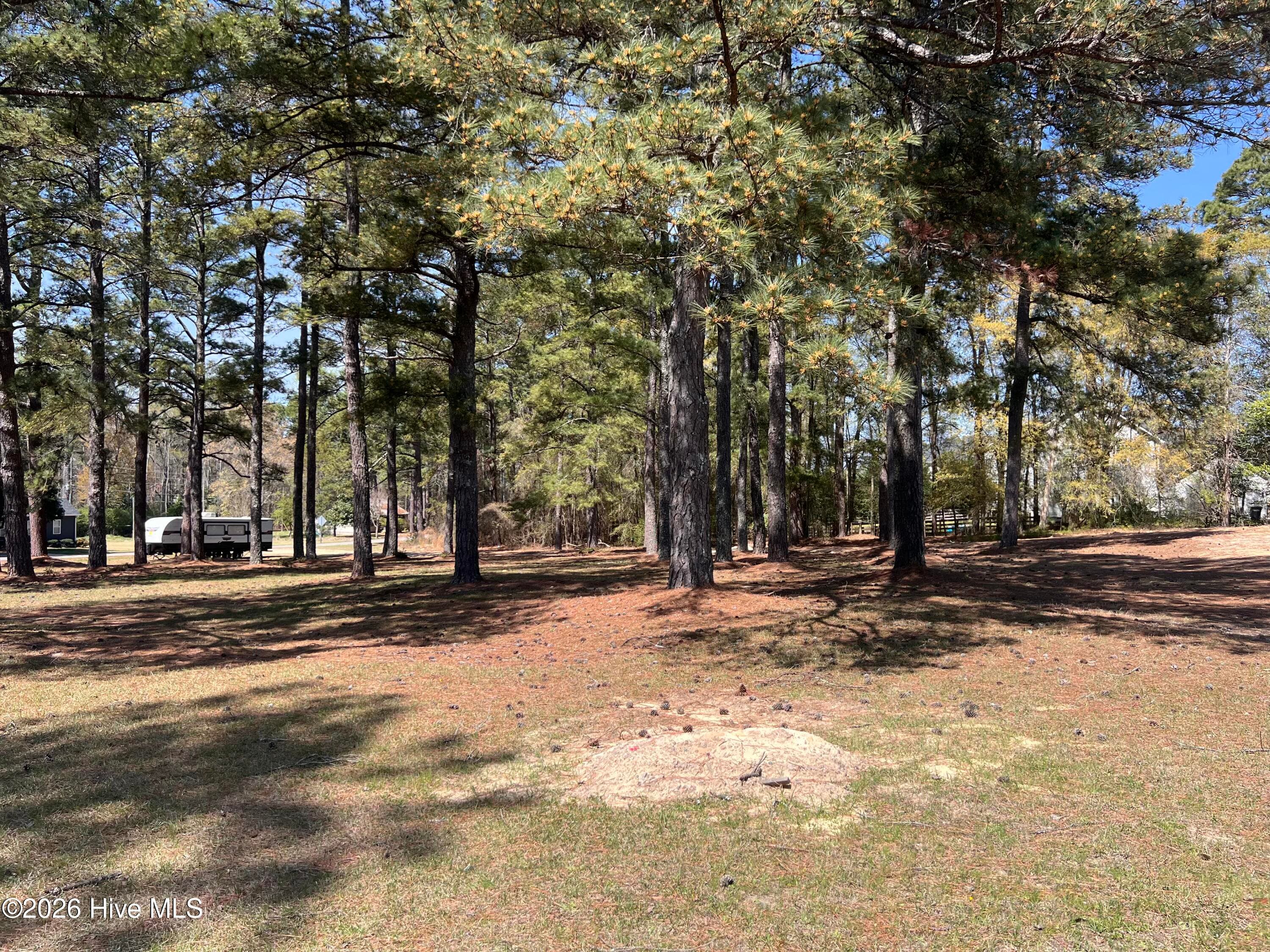 Commercial Sale at Tbd Murdocksville Road, West End, NC 27376, photo 2 of 3