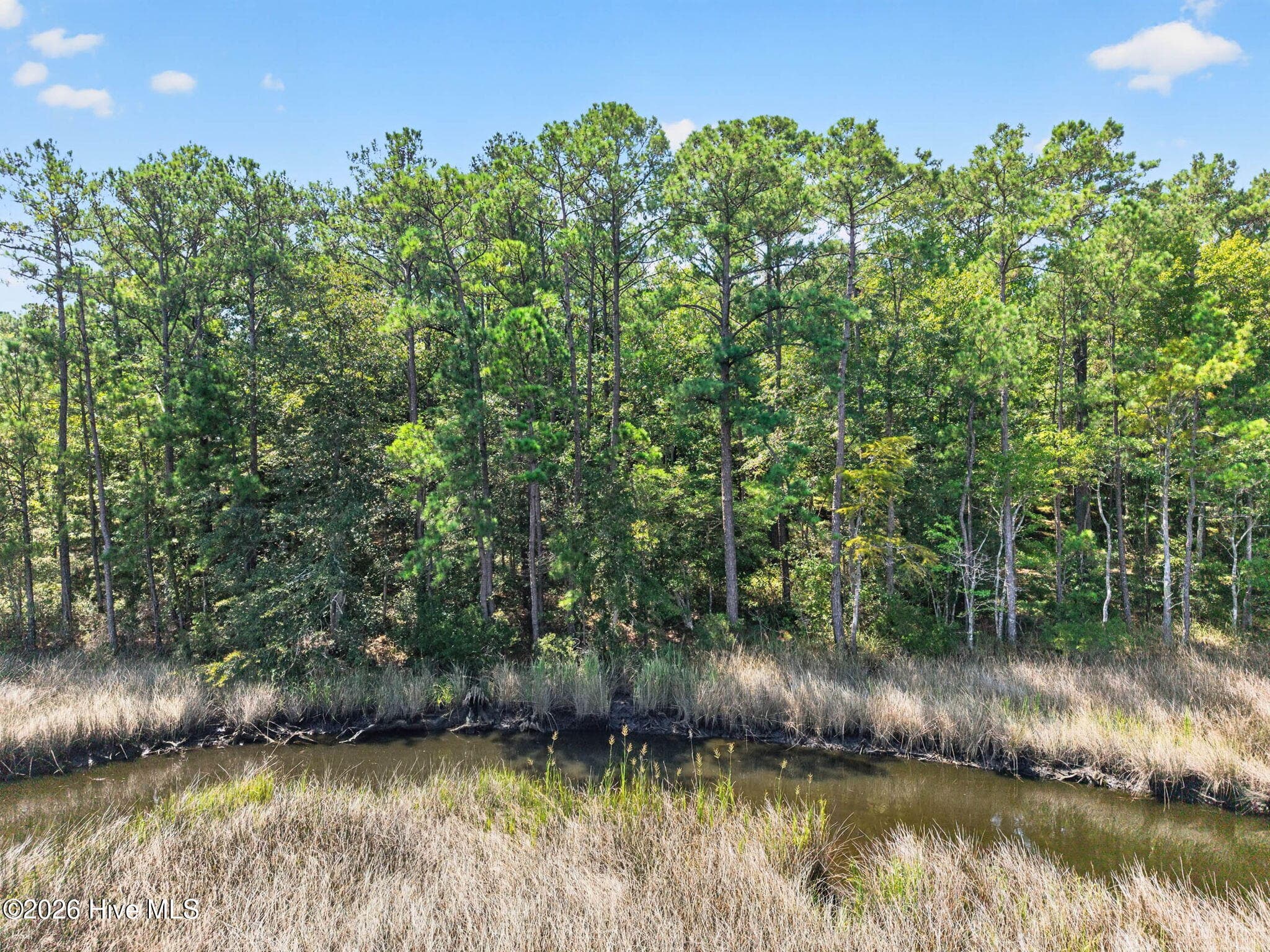 Residential Lot at 3075 L-54 Valderama Way SE, Bolivia, NC 28422, photo 13 of 25