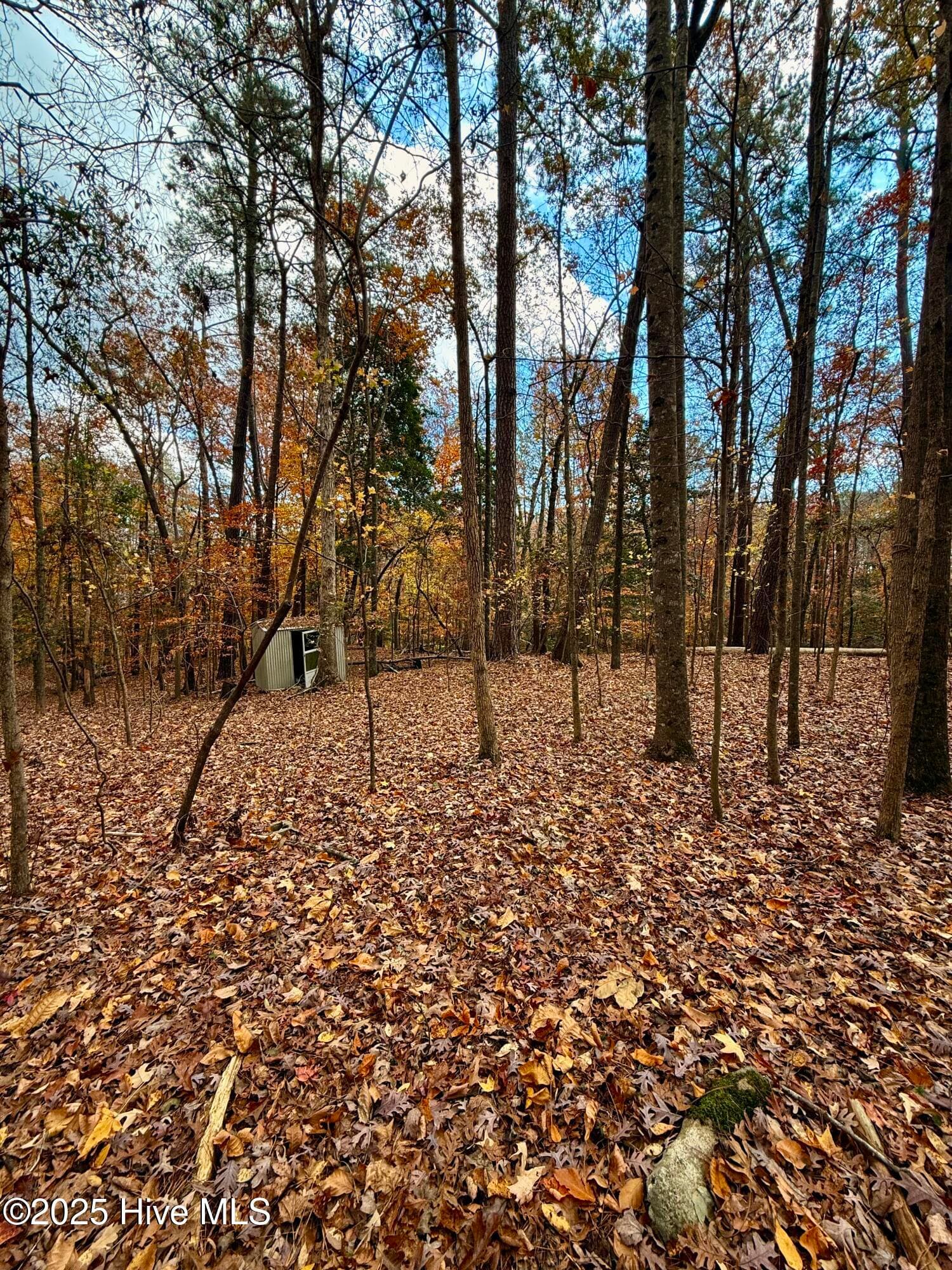 Wooded at 0 Williams Road, Williamston, NC 27892, photo 16 of 16