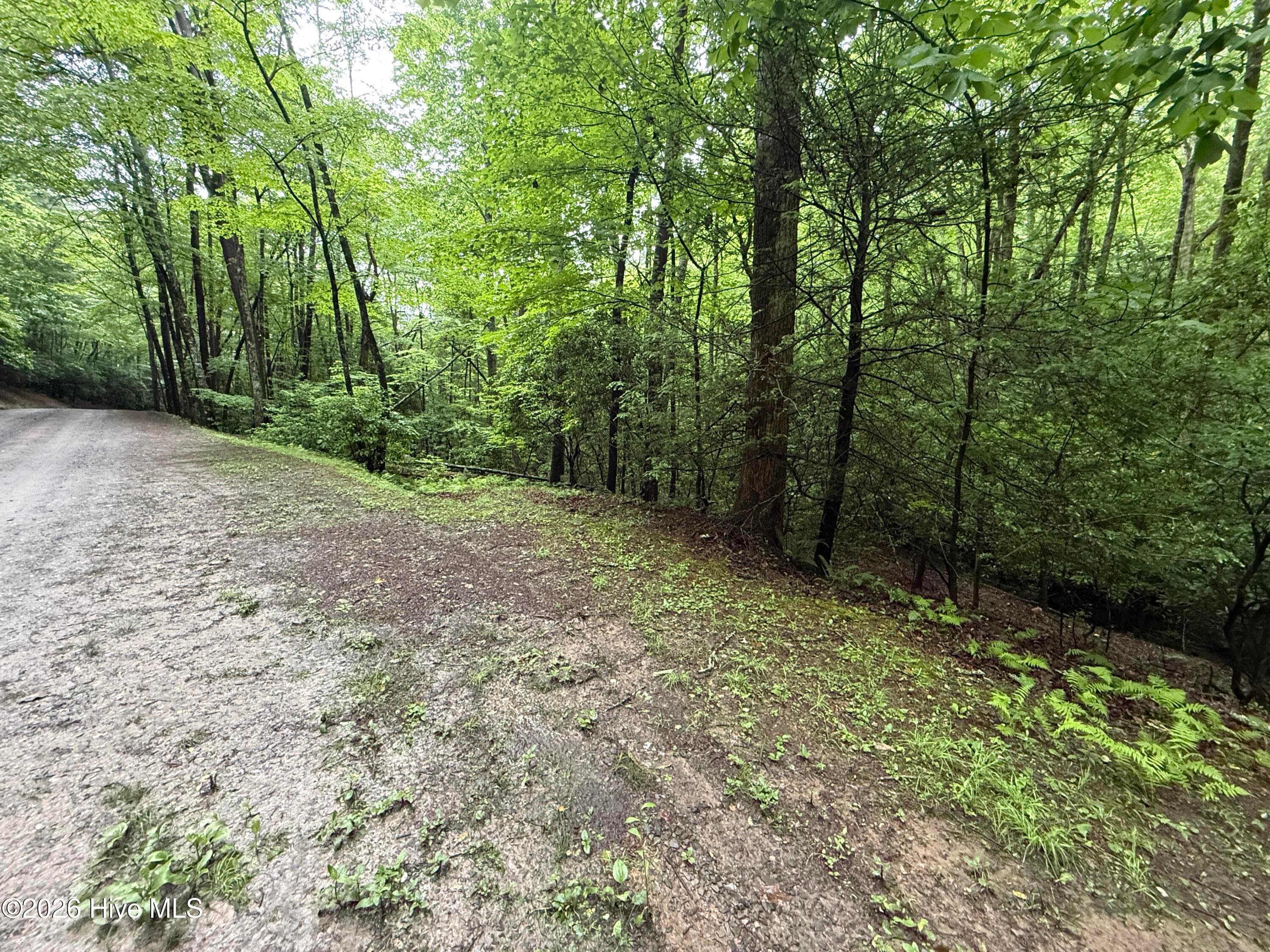 Residential Lot at Lot 28 Atoah Loop, Murphy, NC 28906, photo 6 of 15