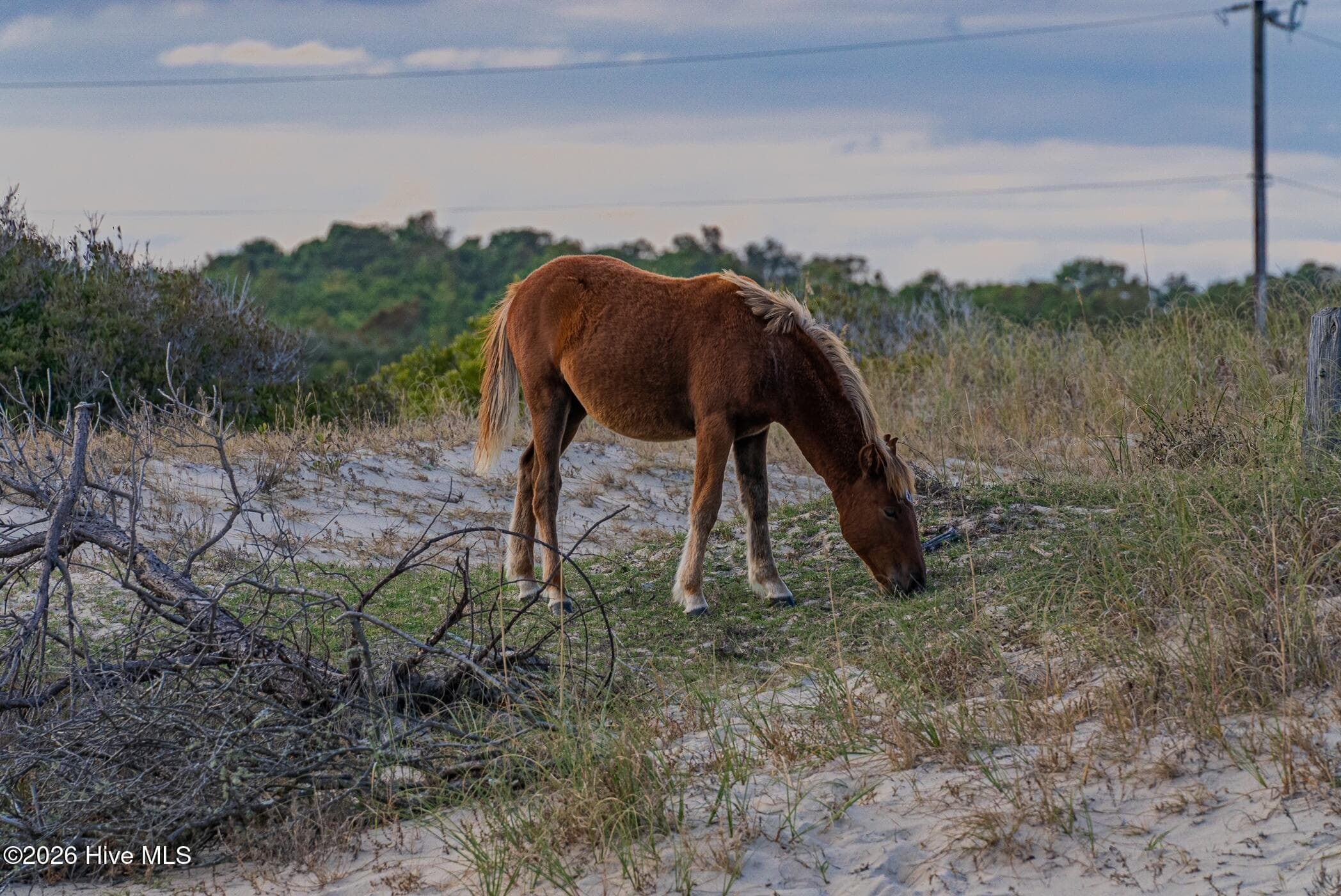 Undeveloped at 2278 Sandfiddler Road, Corolla, NC 27927, photo 13 of 13