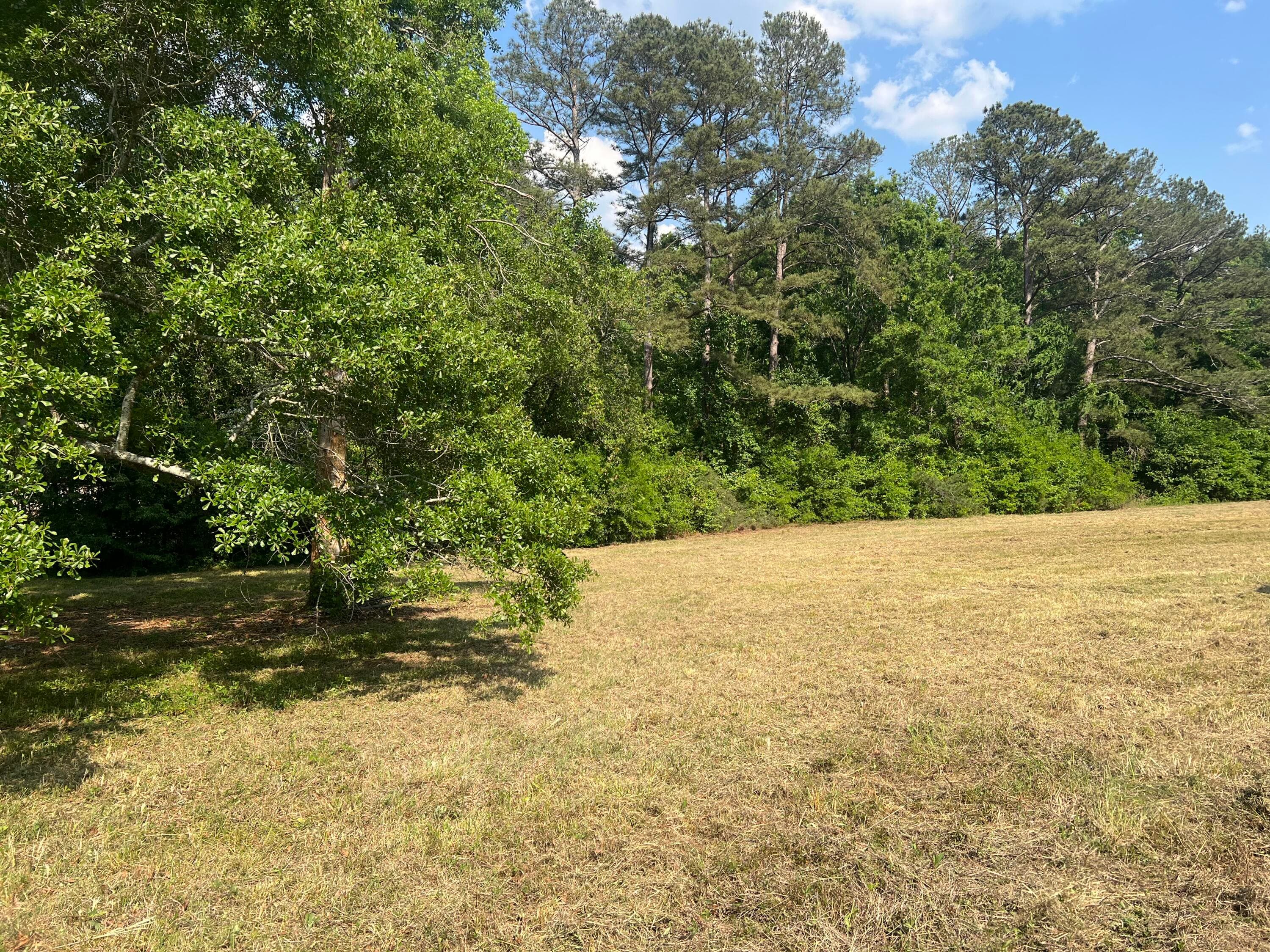 Residential Lot at 323 Forrest Clary Drive, Thomson, GA 30824, photo 5 of 13