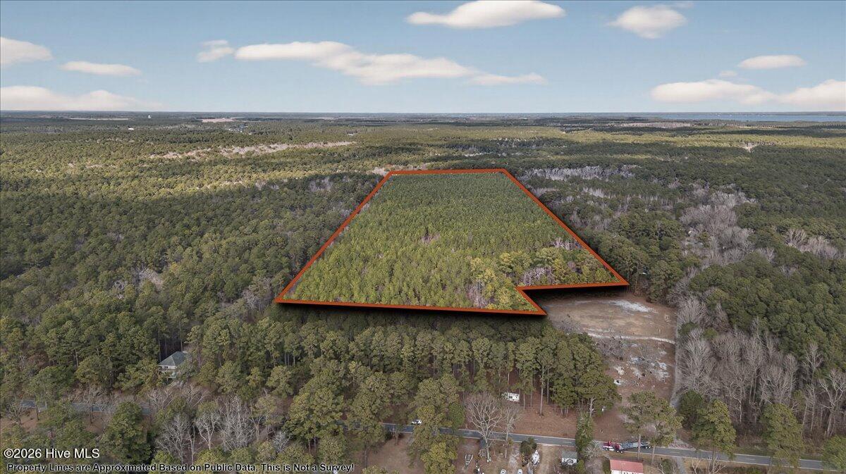 Wooded at 2162 Old Pamlico Beach Road W, Belhaven, NC 27810, photo 8 of 25