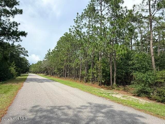 Property is on the right side of the street - L-26 & 27 26/27 Eden Drive, Boiling Spring Lakes, NC 28461