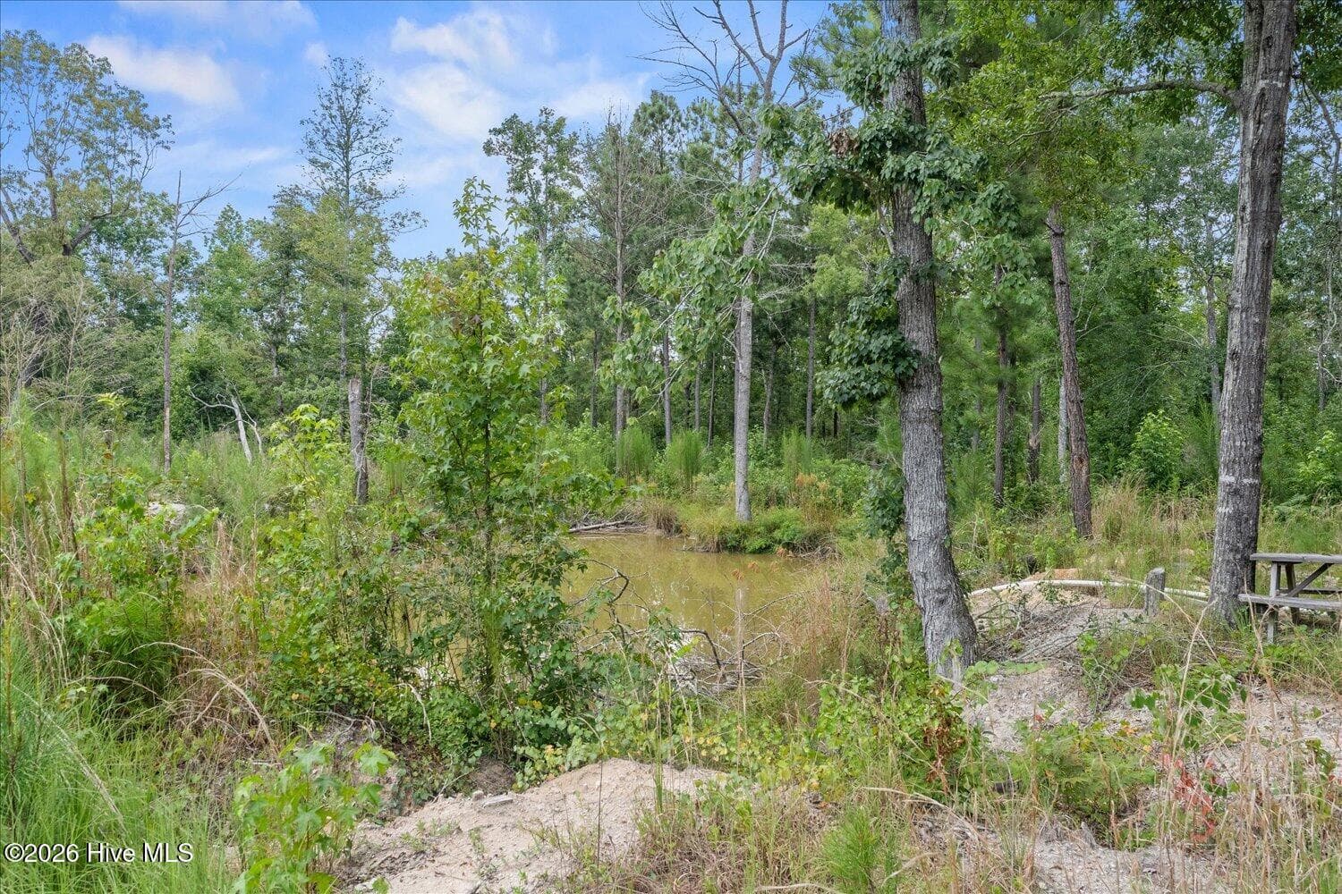 Mixed Use at 92 Sandrock Road, McCormick, SC 29835, McCormick, photo 17 of 22