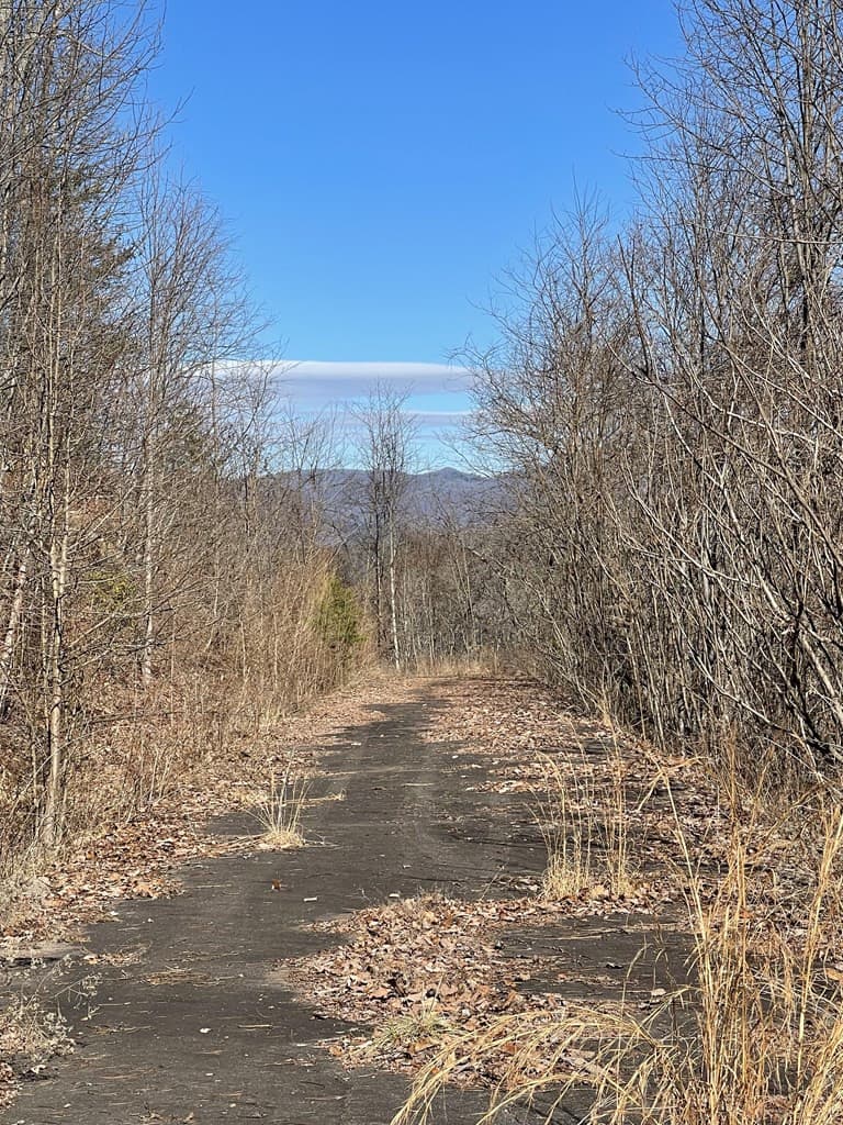 Residential Lot at Lot 47j 47J Grandview Drive, Hayesville, NC 28904, photo 5 of 6
