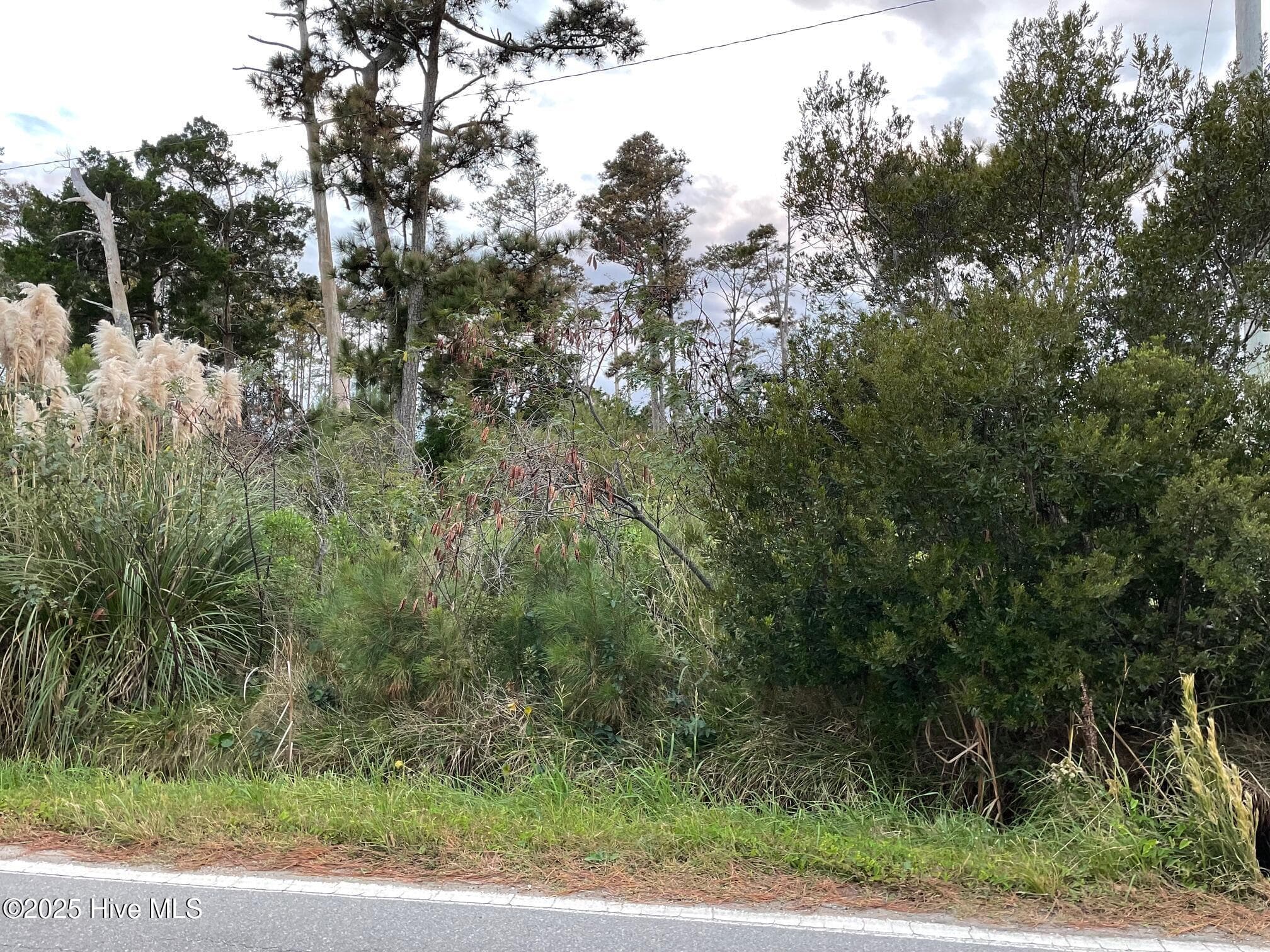 3019 Cedar Island Rd, Cedar Island, NC 28520