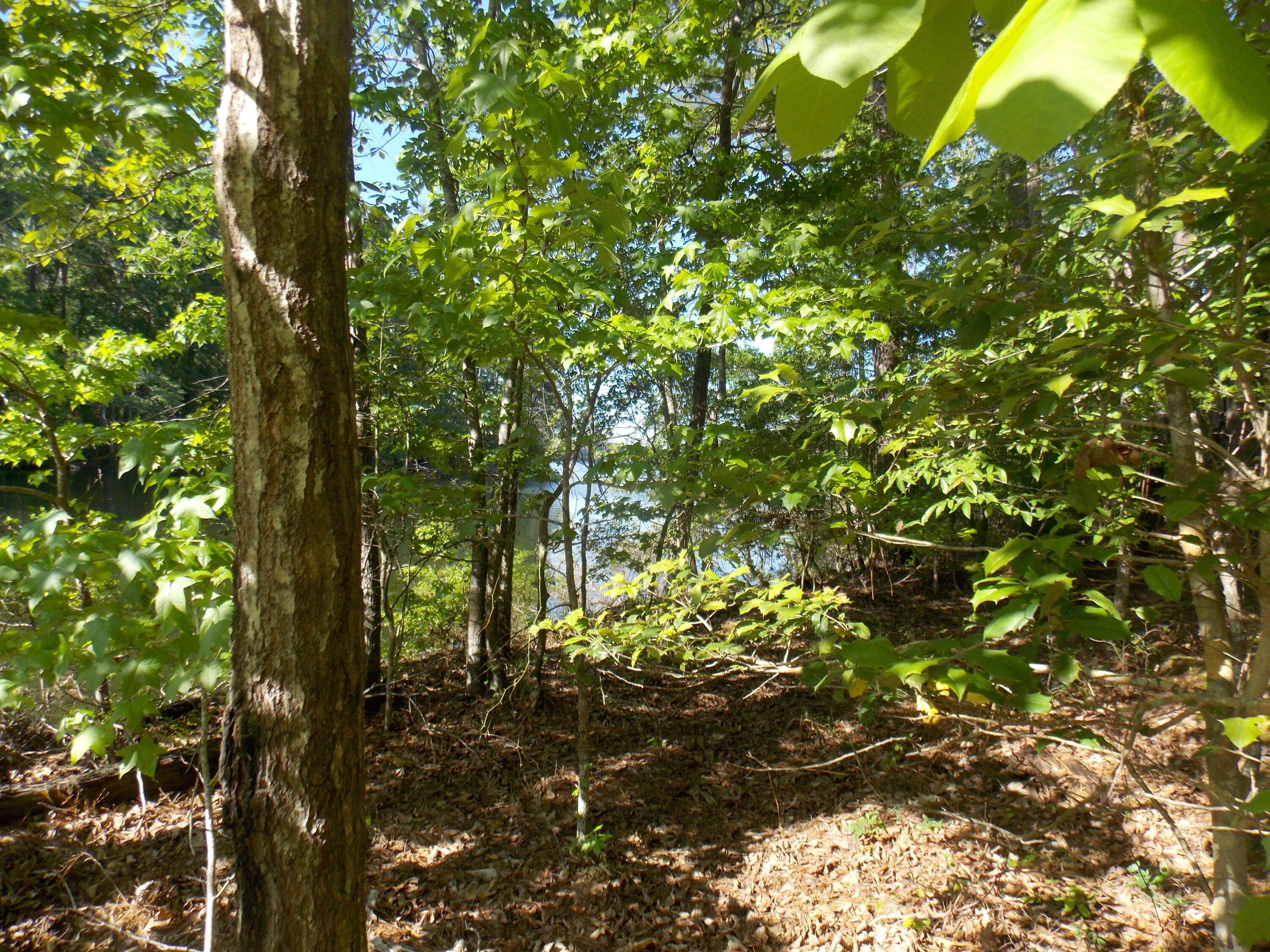 Residential Lot at 13 13 Riverview Ct, Lincolnton, GA 30817, photo 2 of 5