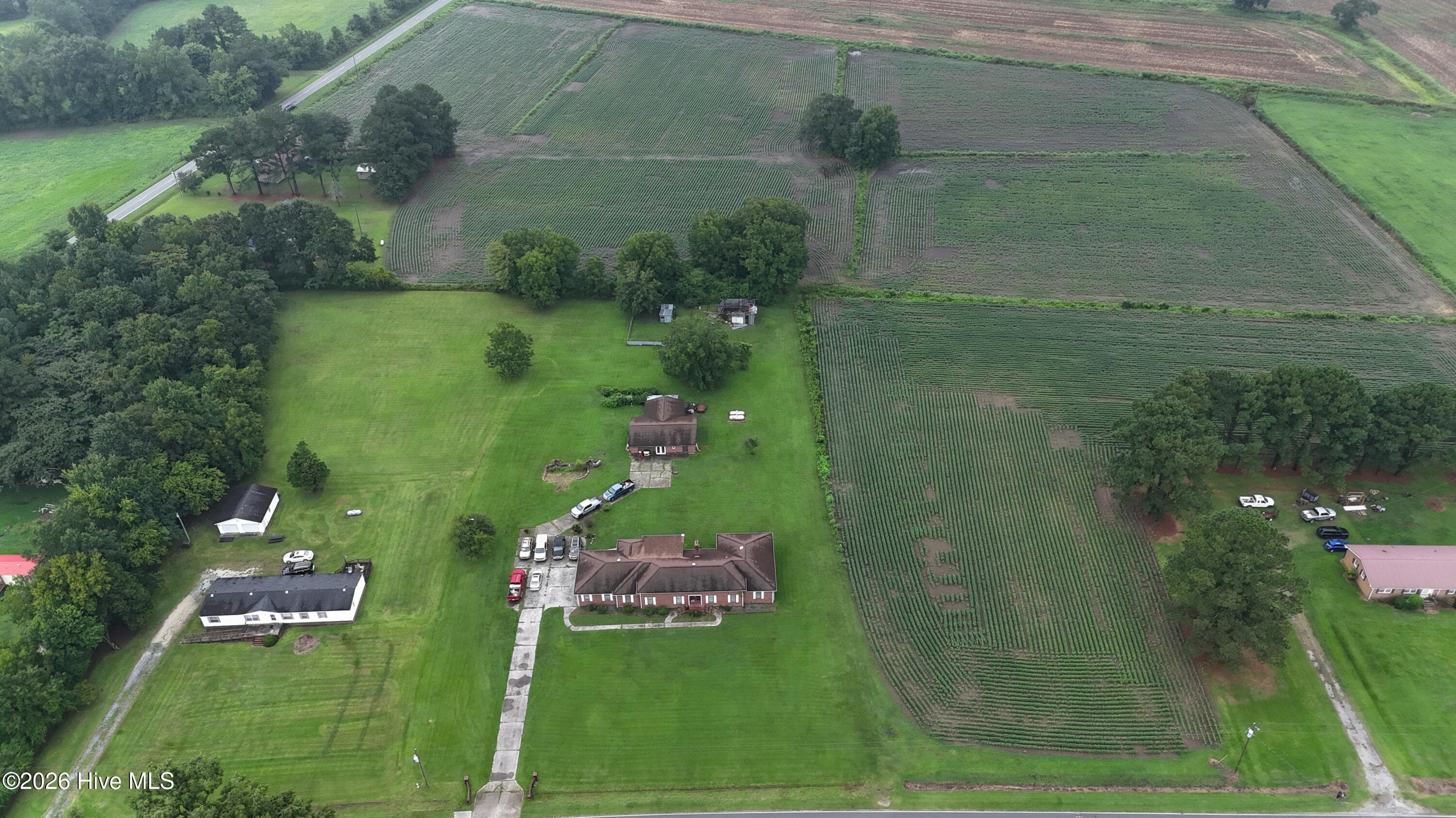 Agriculture at Near 128 Bay Rd., Rose Hill, NC 28458, photo 15 of 21