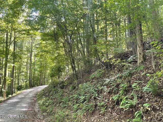 Residential Lot at 00 Rocky Branch Overlook, Topton, NC 28781, photo 2 of 7
