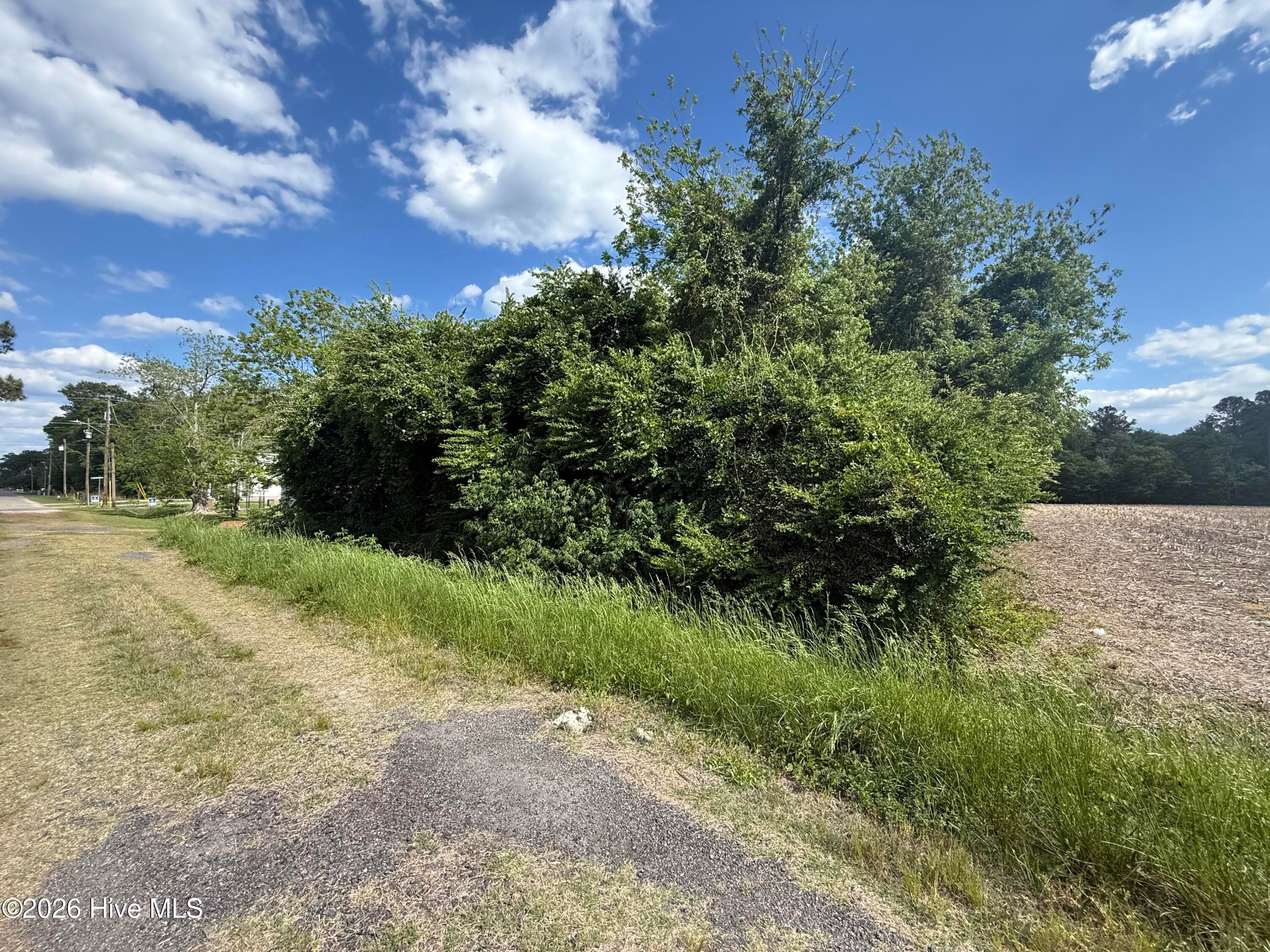 Residential Lot at 4 4 W Hayes Street, Burgaw, NC 28425, photo 2 of 3