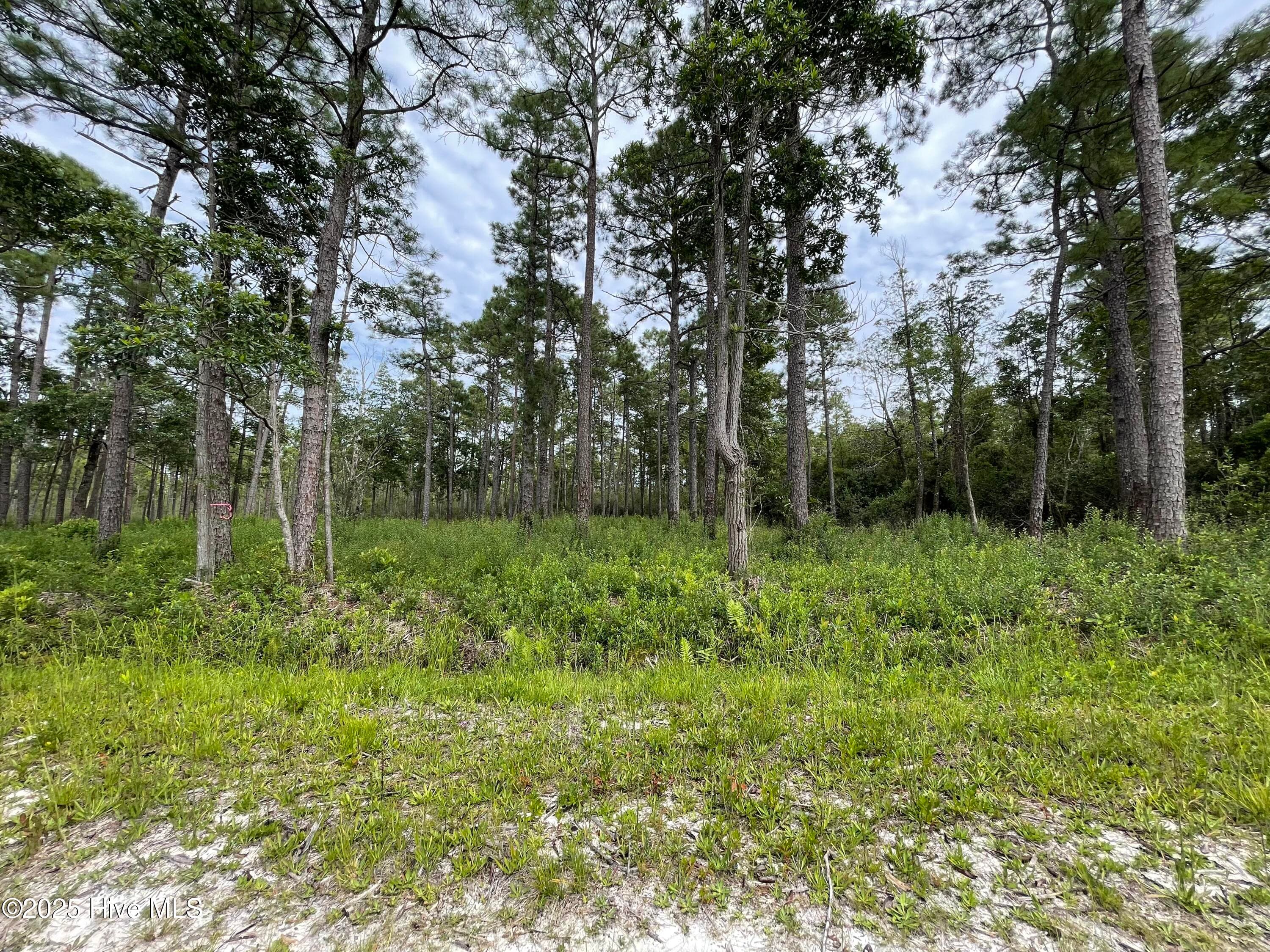 Residential Lot at 811 Brittany Road, Southport, NC 28461, photo 25 of 25