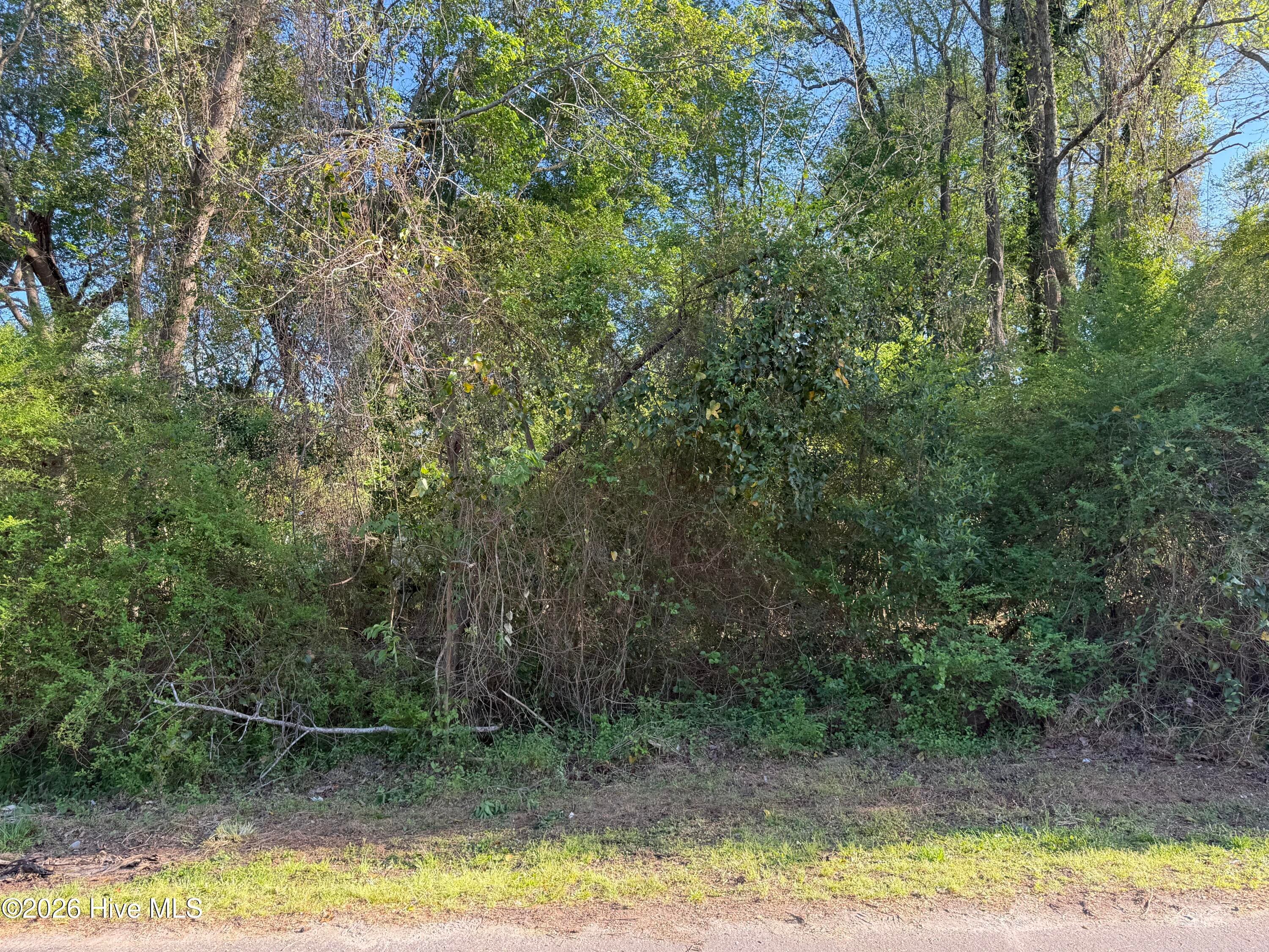 2509 787 New Bern Avenue, New Bern, NC 28560