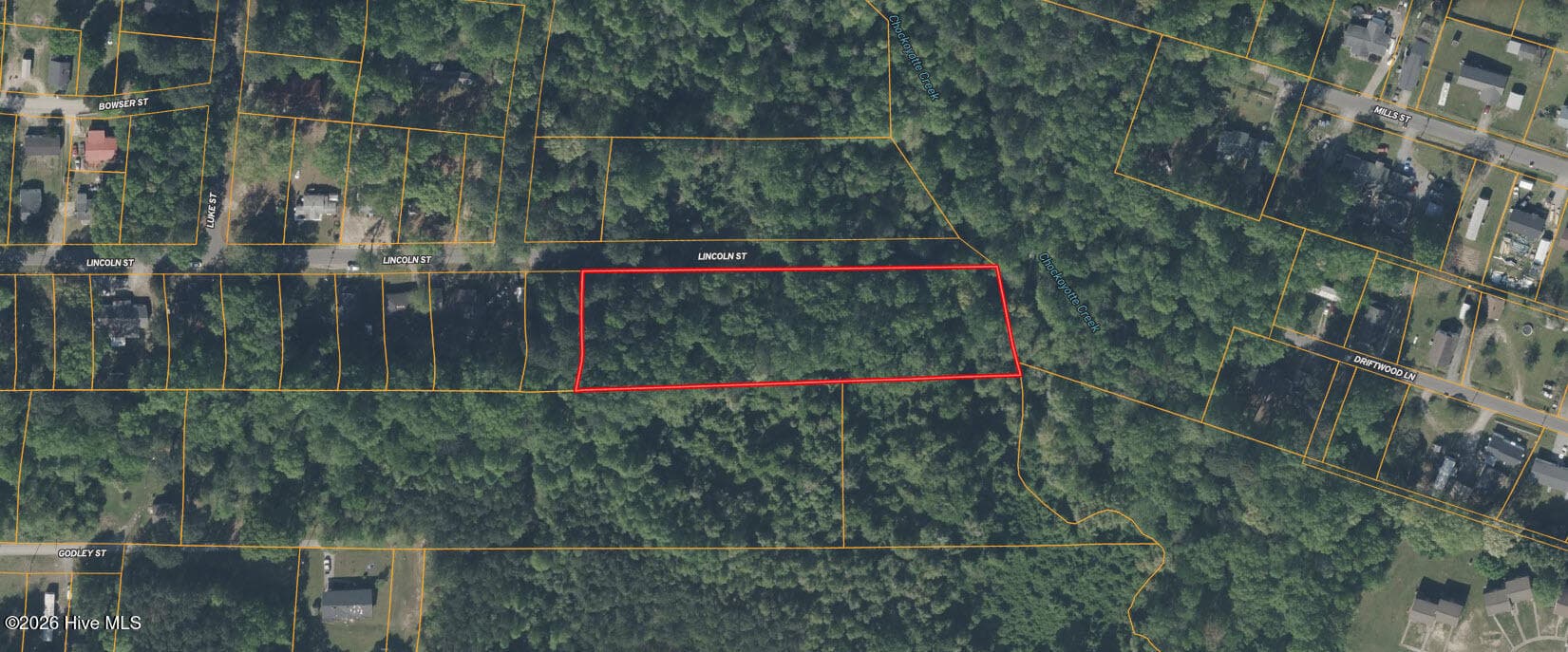 Undeveloped at 0 Lincoln Street, Roanoke Rapids, NC 27870, photo 3 of 7