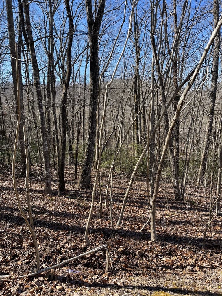 Residential Lot at Lot 34j 34J Ash Branch Road, Hayesville, NC 28904, photo 3 of 6