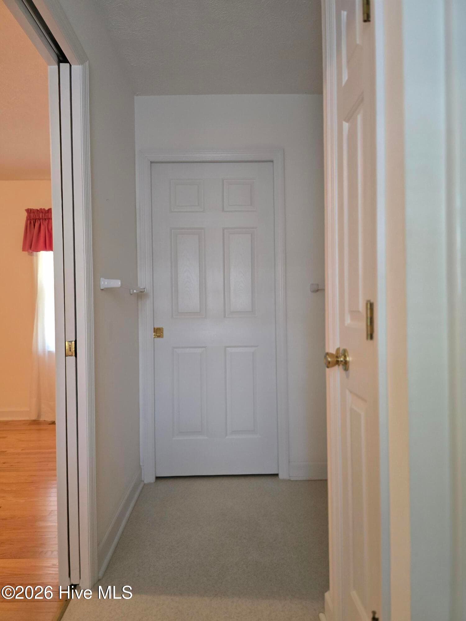 Pocket door to walk-in closet - 214 E Bladen Street, Bladenboro, NC 28320