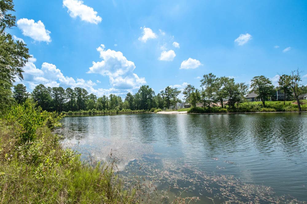 Single Family Residence at 686 Slade Lake Drive, North Augusta, SC 29841, photo 52 of 53